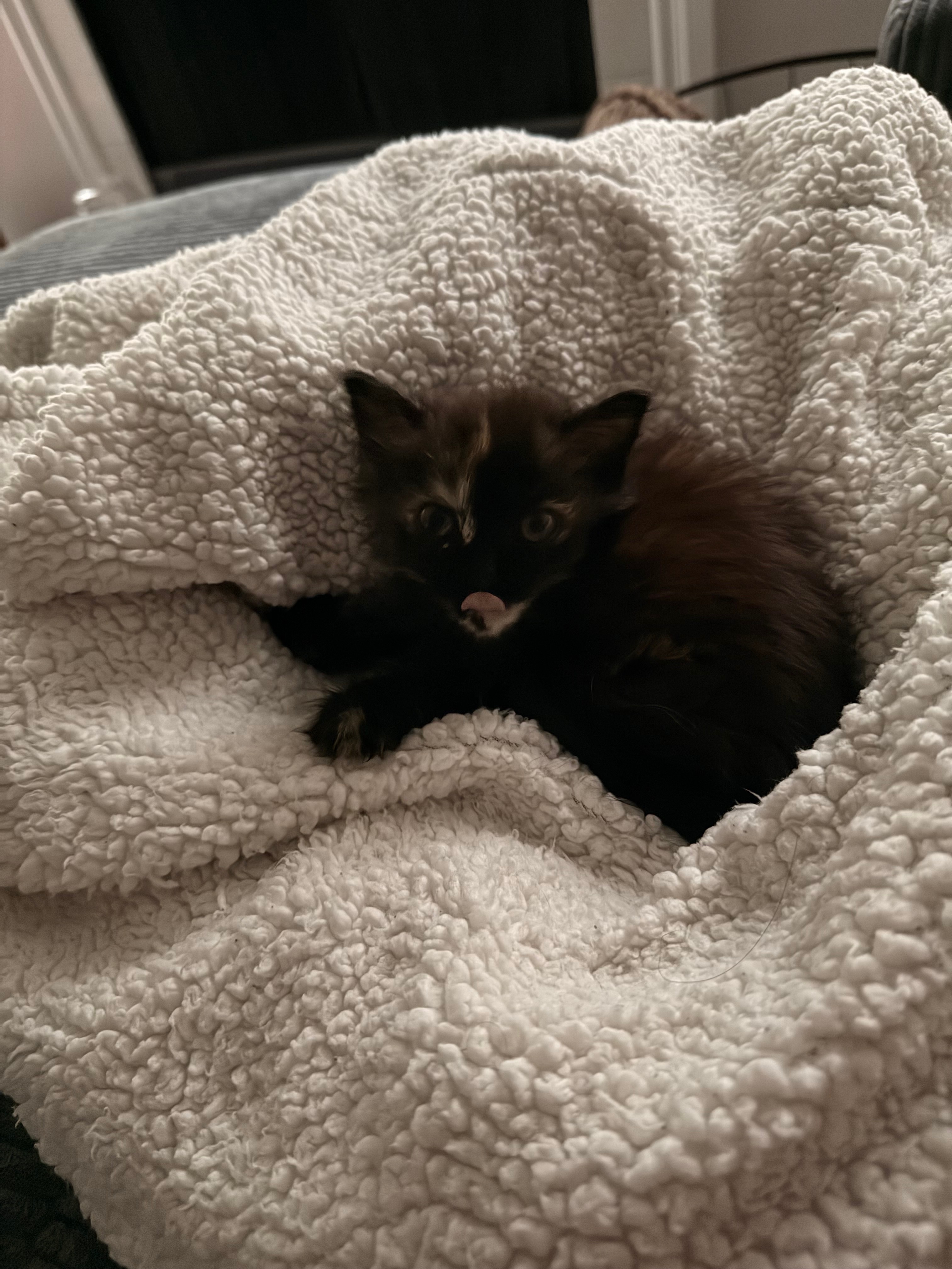 Toast’s Medical Bills and Recovery campaign photo, 2 of 8