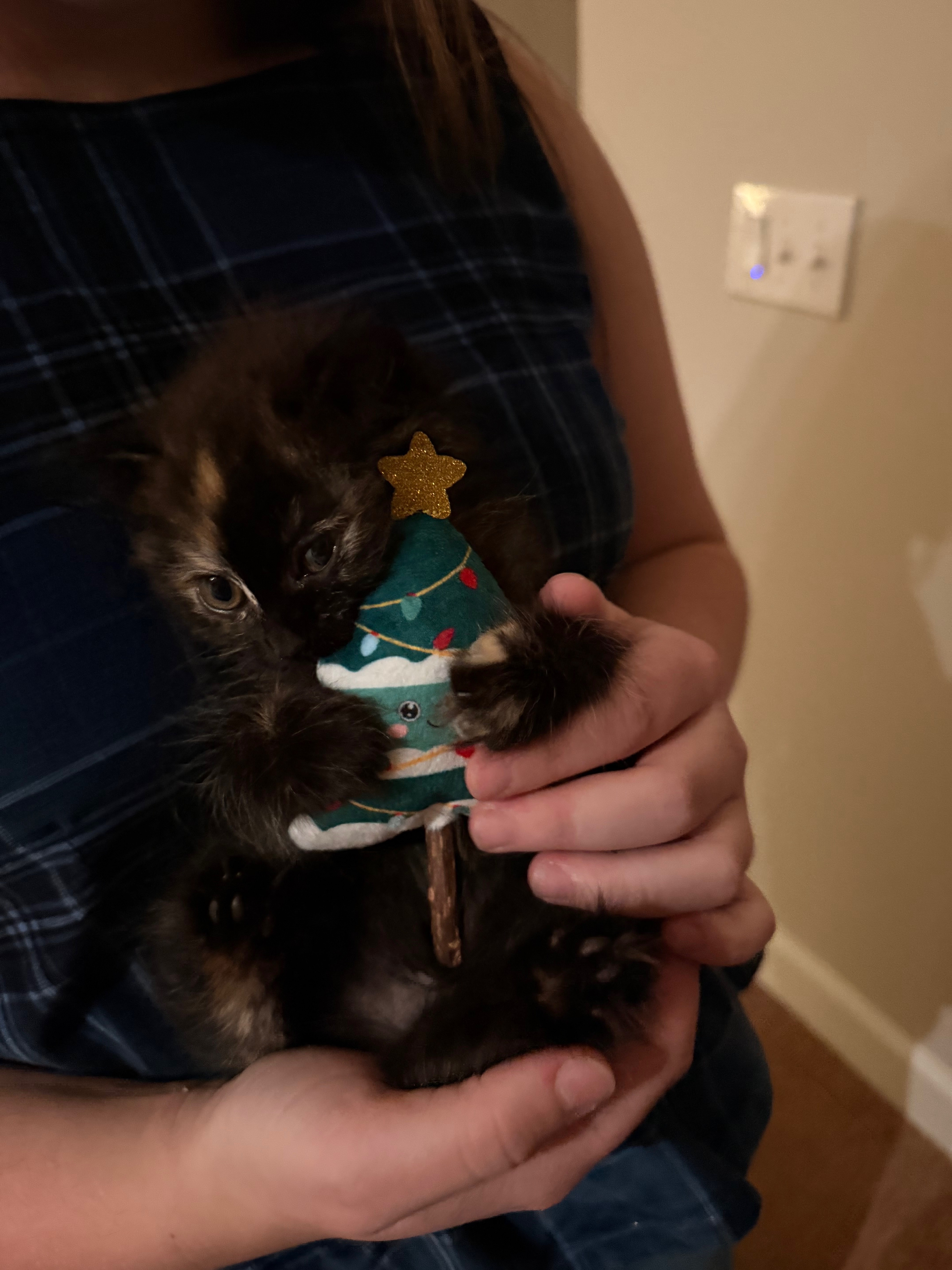 Toast’s Medical Bills and Recovery campaign photo, 4 of 8