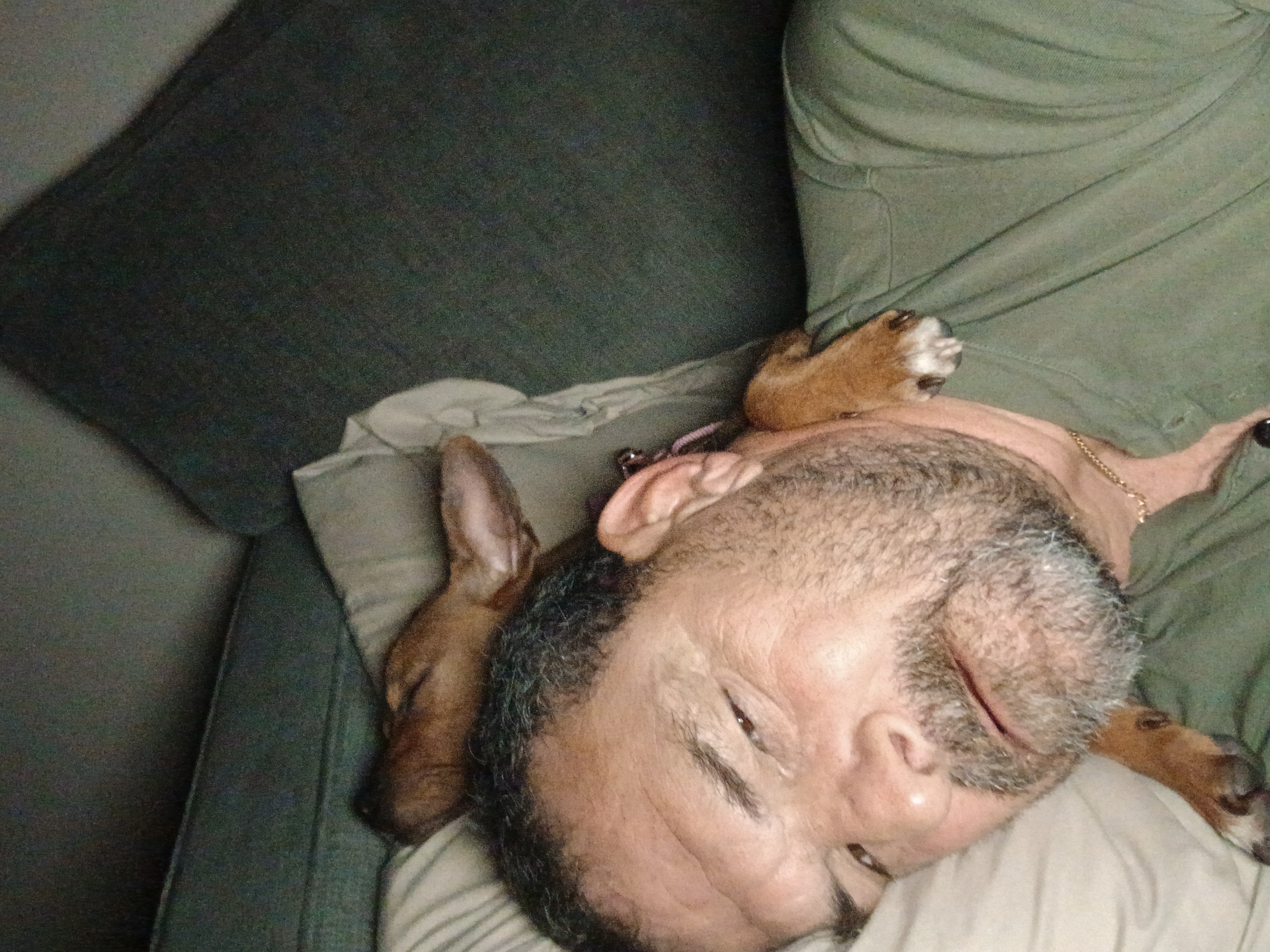Bring Winston Home During Cancer Fight campaign photo, 4 of 8