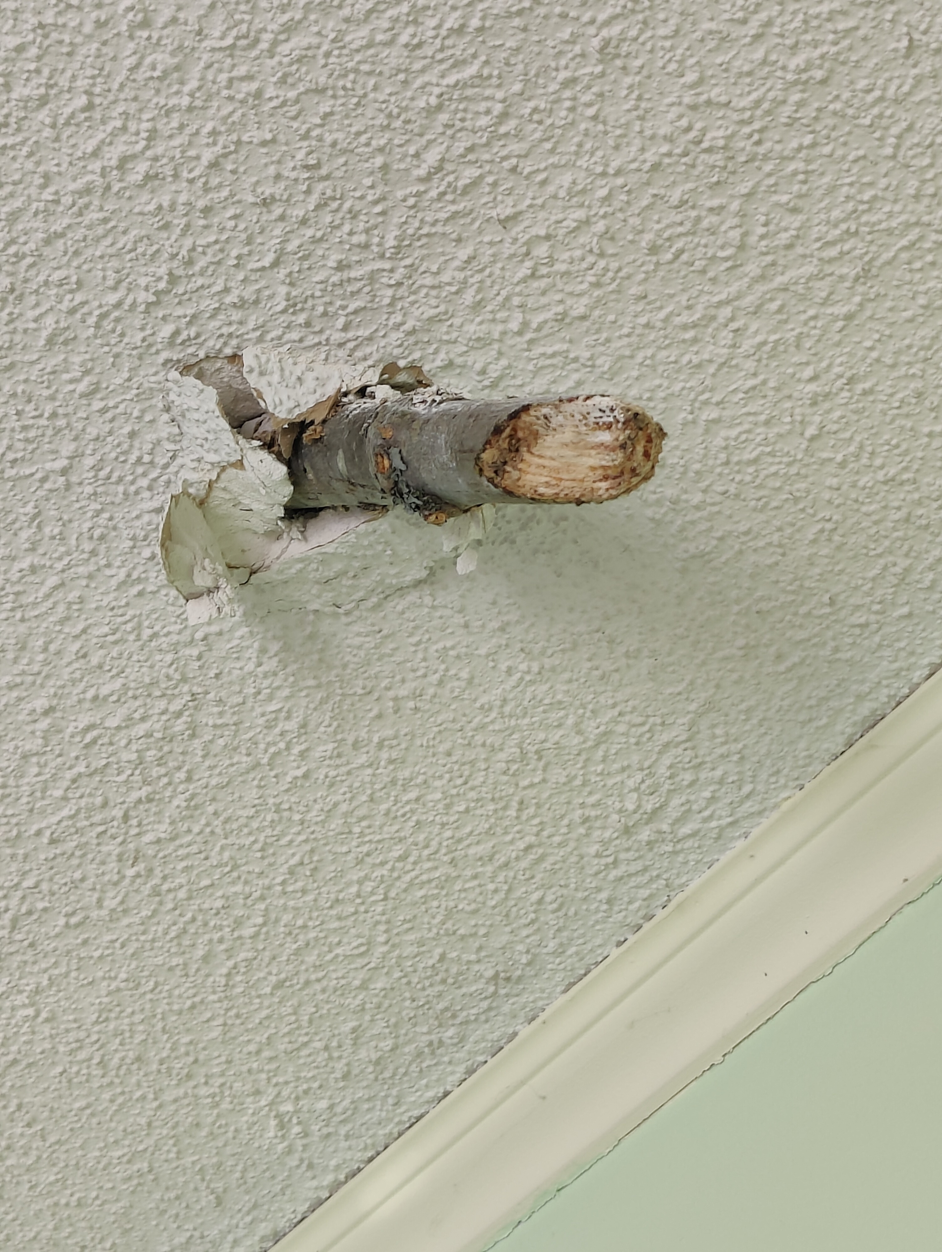 Support for Cousin's Family After Home Damages campaign photo, 6 of 7