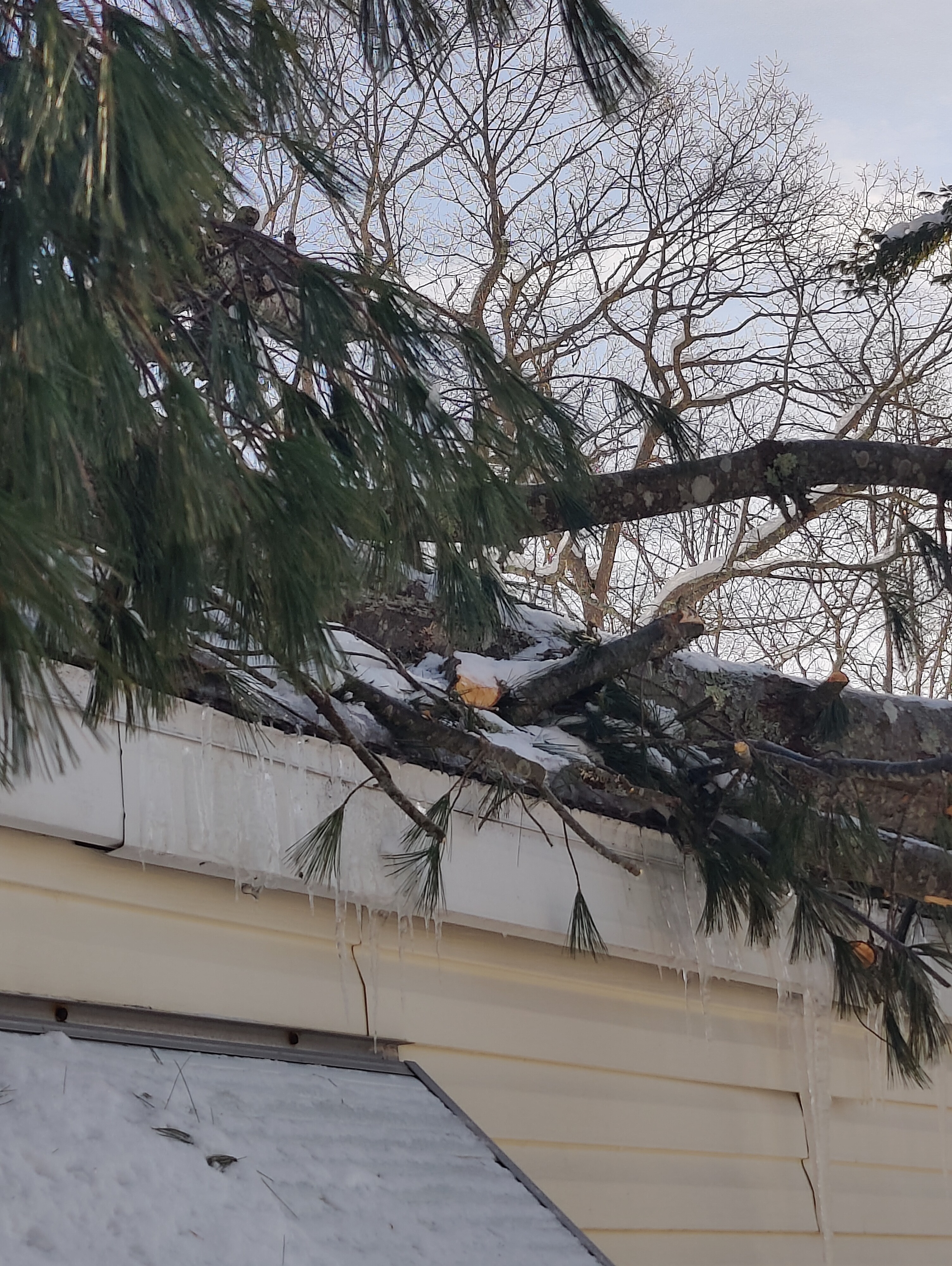 Support for Cousin's Family After Home Damages campaign photo, 4 of 7