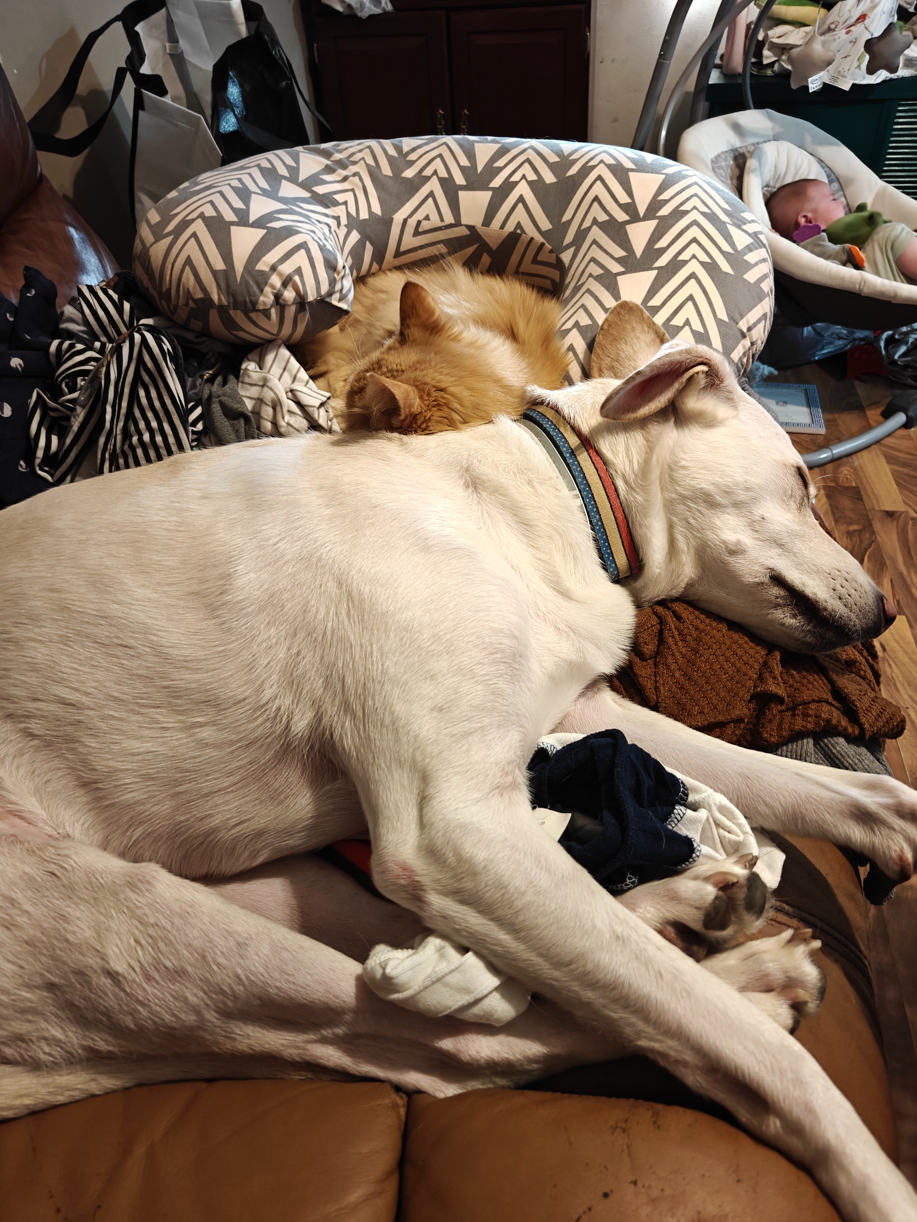 Help Bonnie Recover & Keep Our Family Together campaign photo, 5 of 7