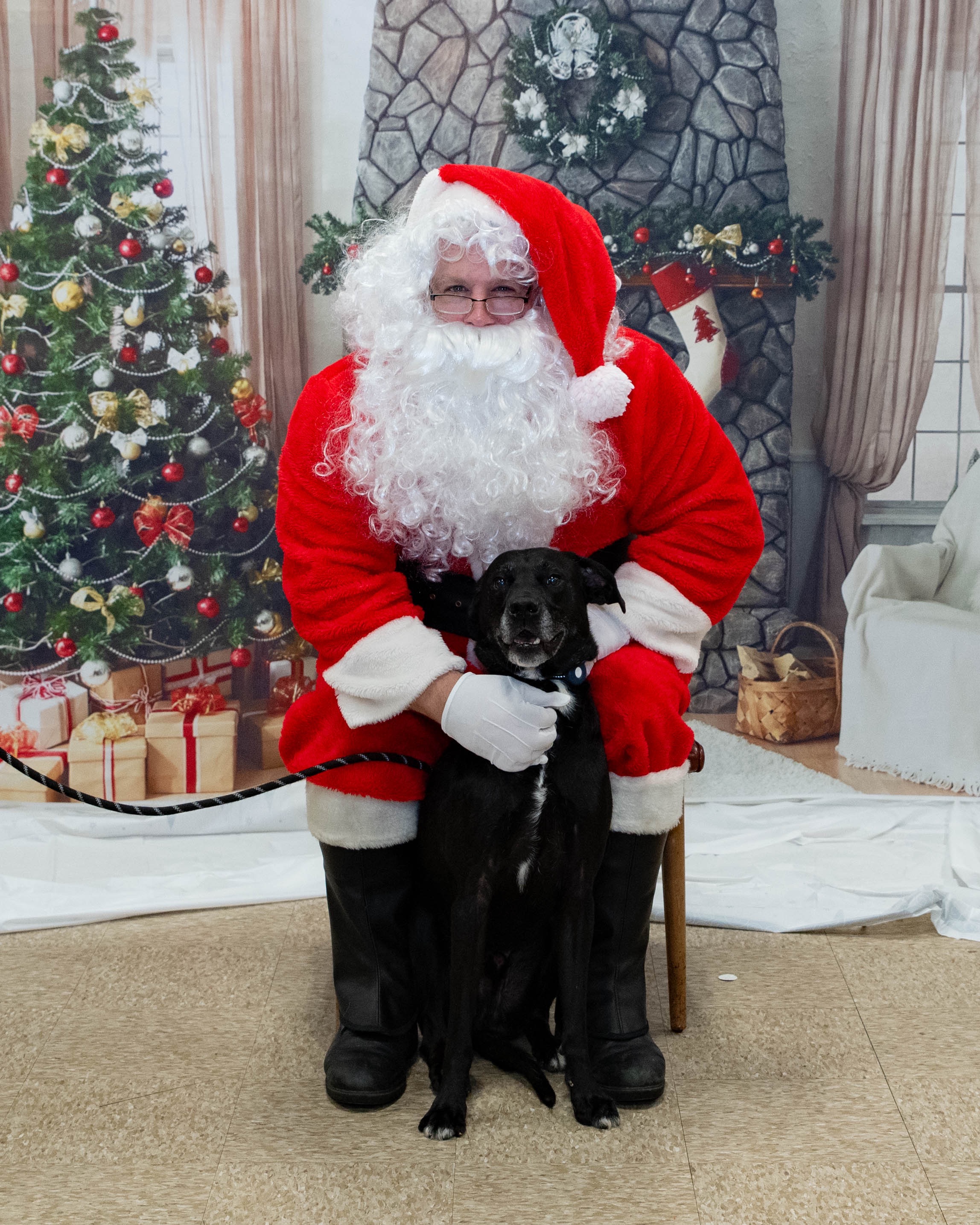 Helping my best boy through bone cancer campaign photo, 7 of 8