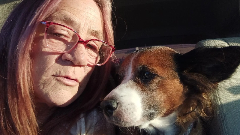 Help Terie & Palusa Find a Home photo