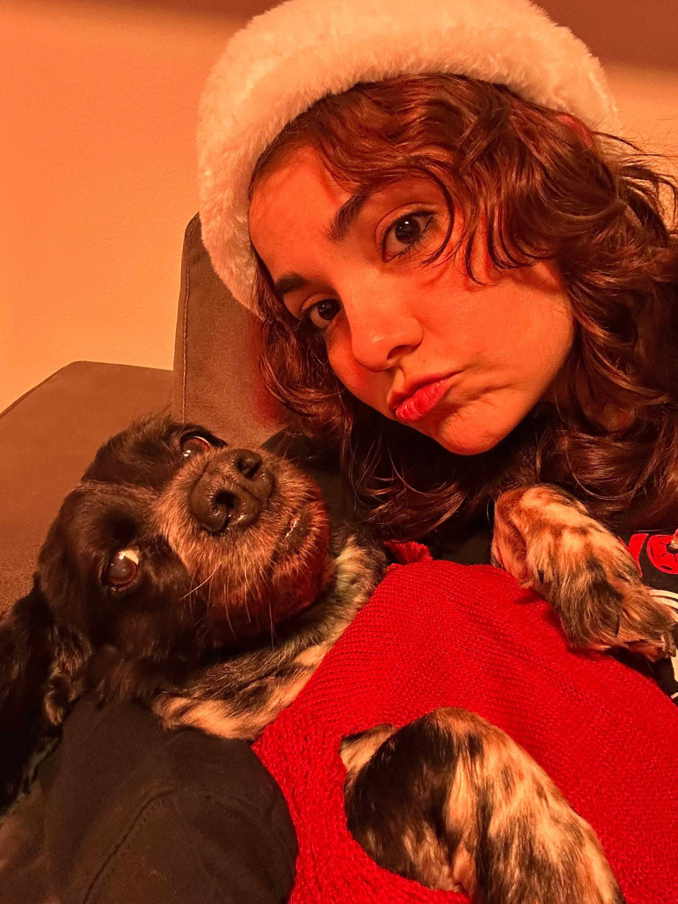 Care for Leia, Our Beloved Cocker Spaniel campaign photo, 5 of 8