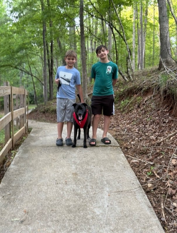 Help Stephanie and Her Boys Regain Stability campaign photo, 4 of 8
