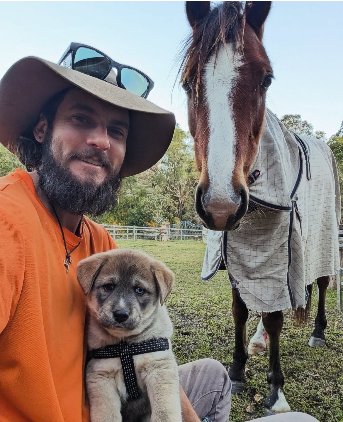 Sam Figg Fundraiser for Samuel Organ by Monique Figg : Help save Humphrey