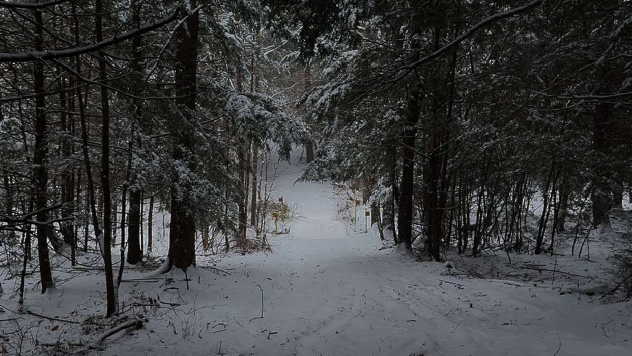 Please Help My Boyfriend Find Stability photo