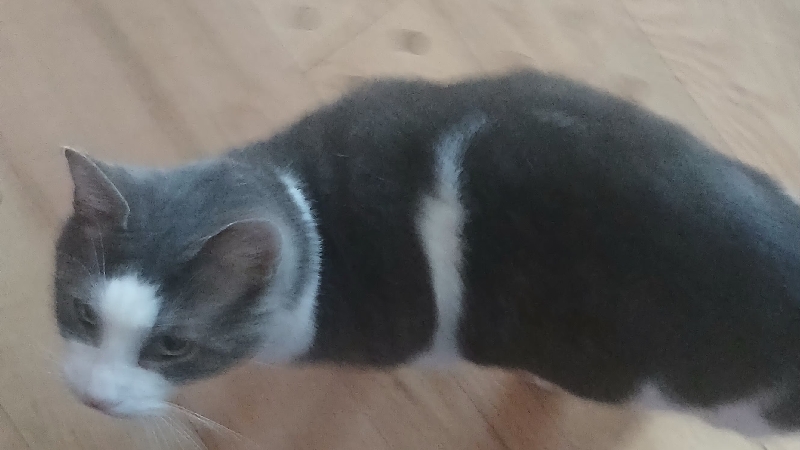 please help mother daughter 
after eletrical fire photo