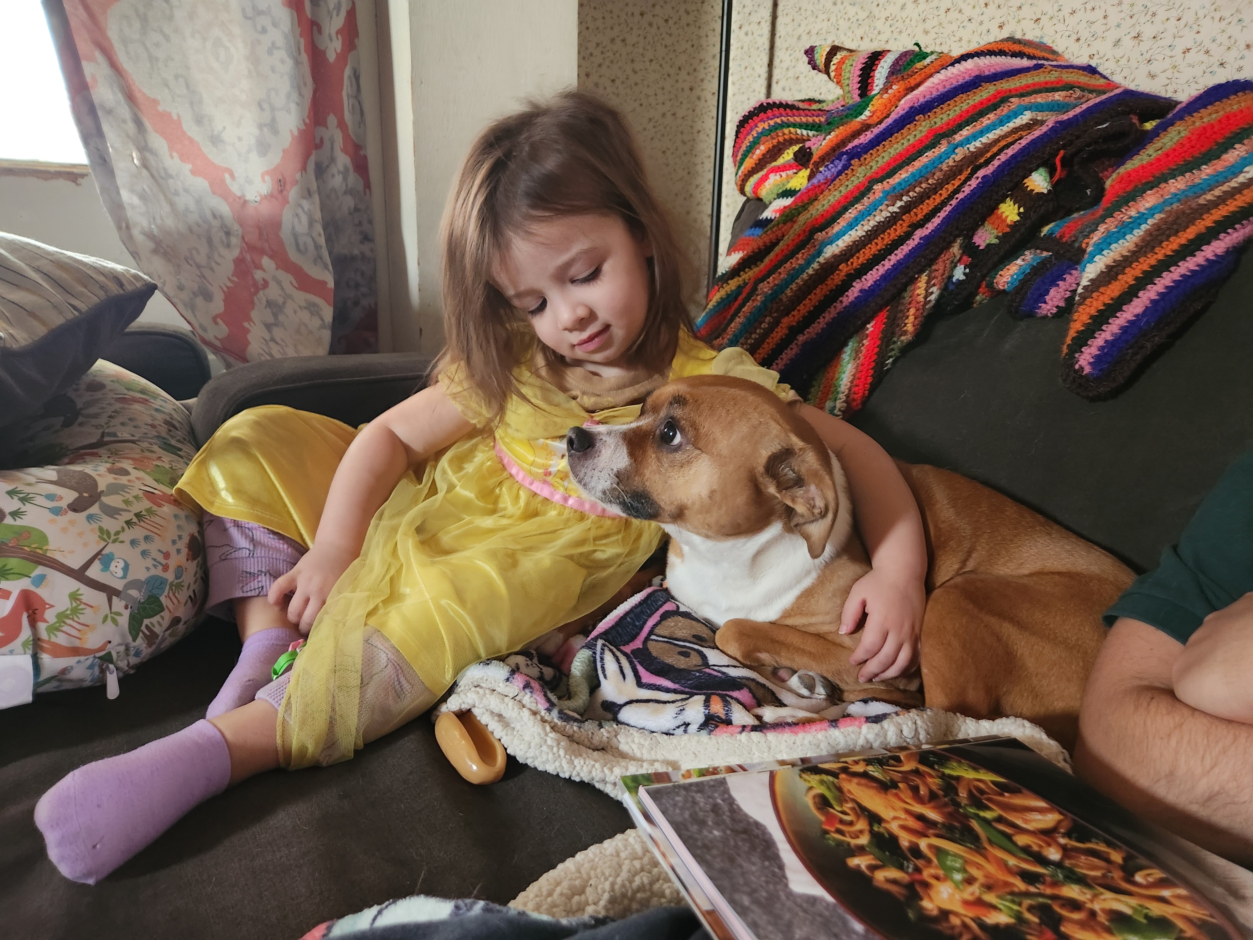 Frankie’s MRI & Road to Recovery campaign photo, 4 of 7