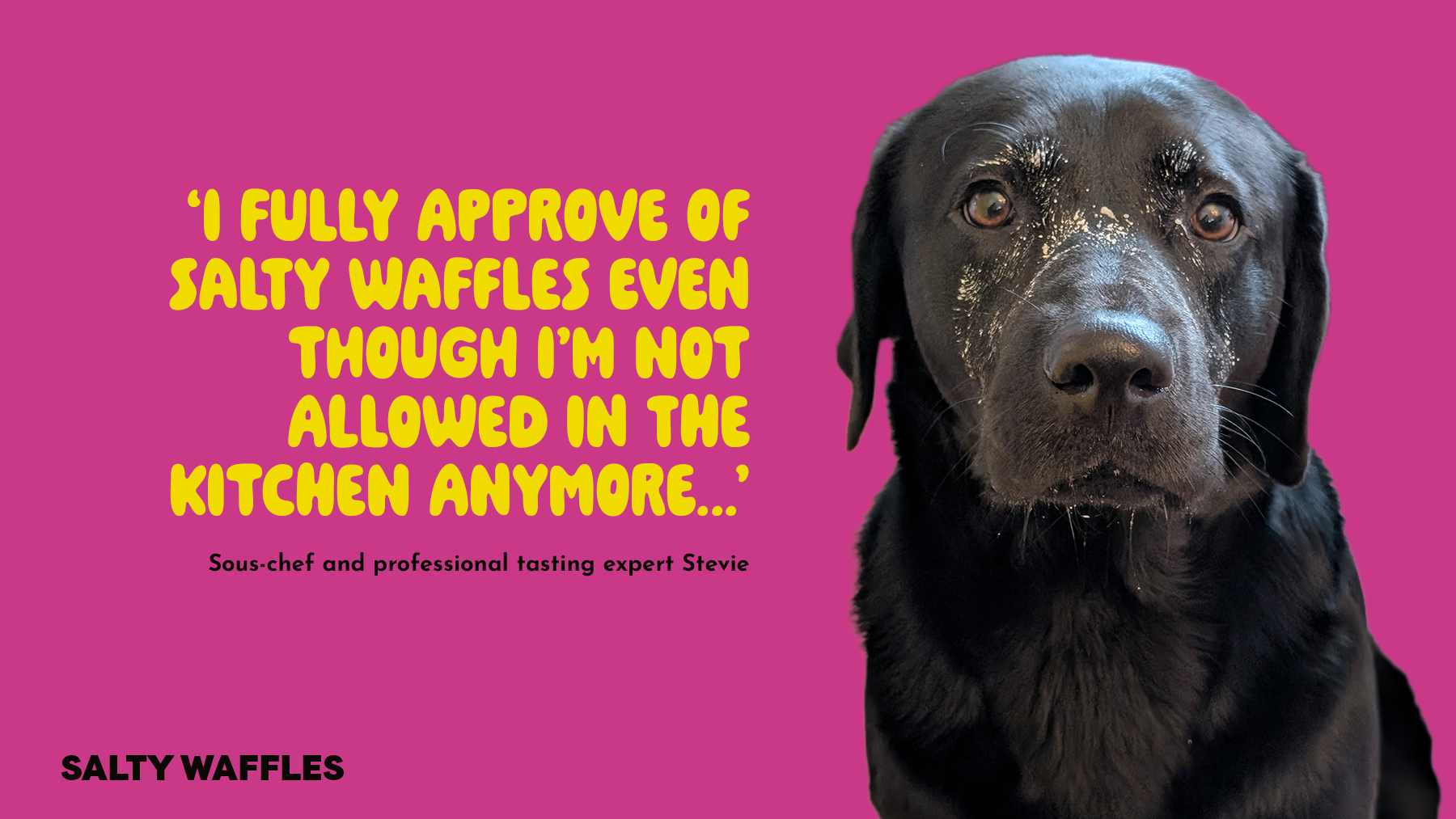 Help Salty Waffles become reality! campaign photo, 5 of 7