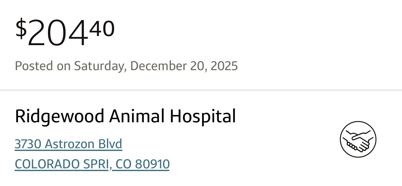 Help Us Pay Off Hemi’s FIP Medical Bills campaign photo, 4 of 8
