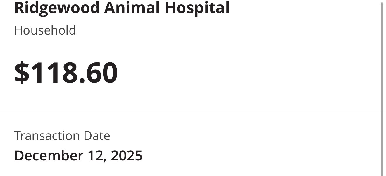 Help Us Pay Off Hemi’s FIP Medical Bills campaign photo, 5 of 8