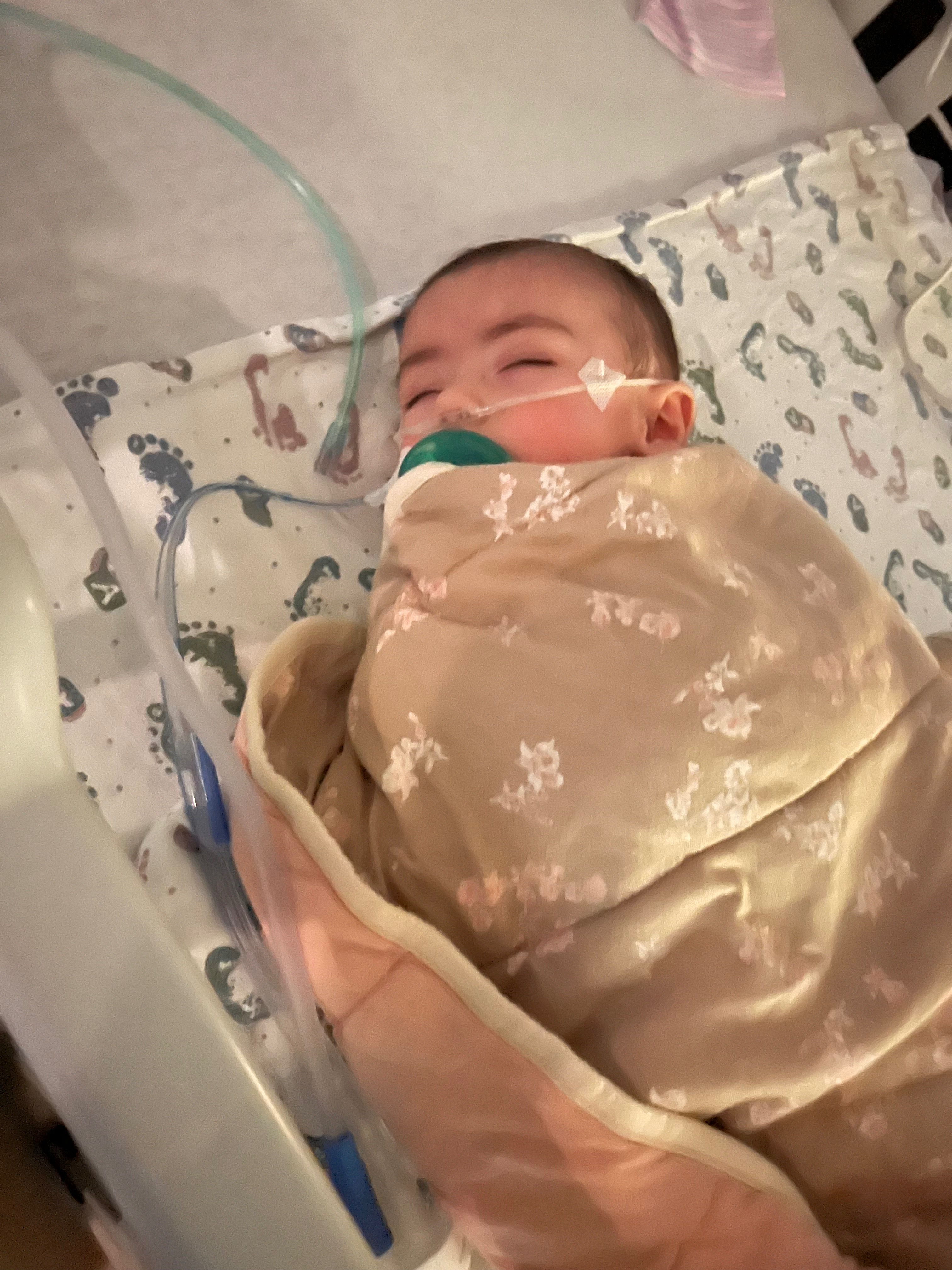 Support Baby Maeve's Fight Against CDH campaign photo, 7 of 7