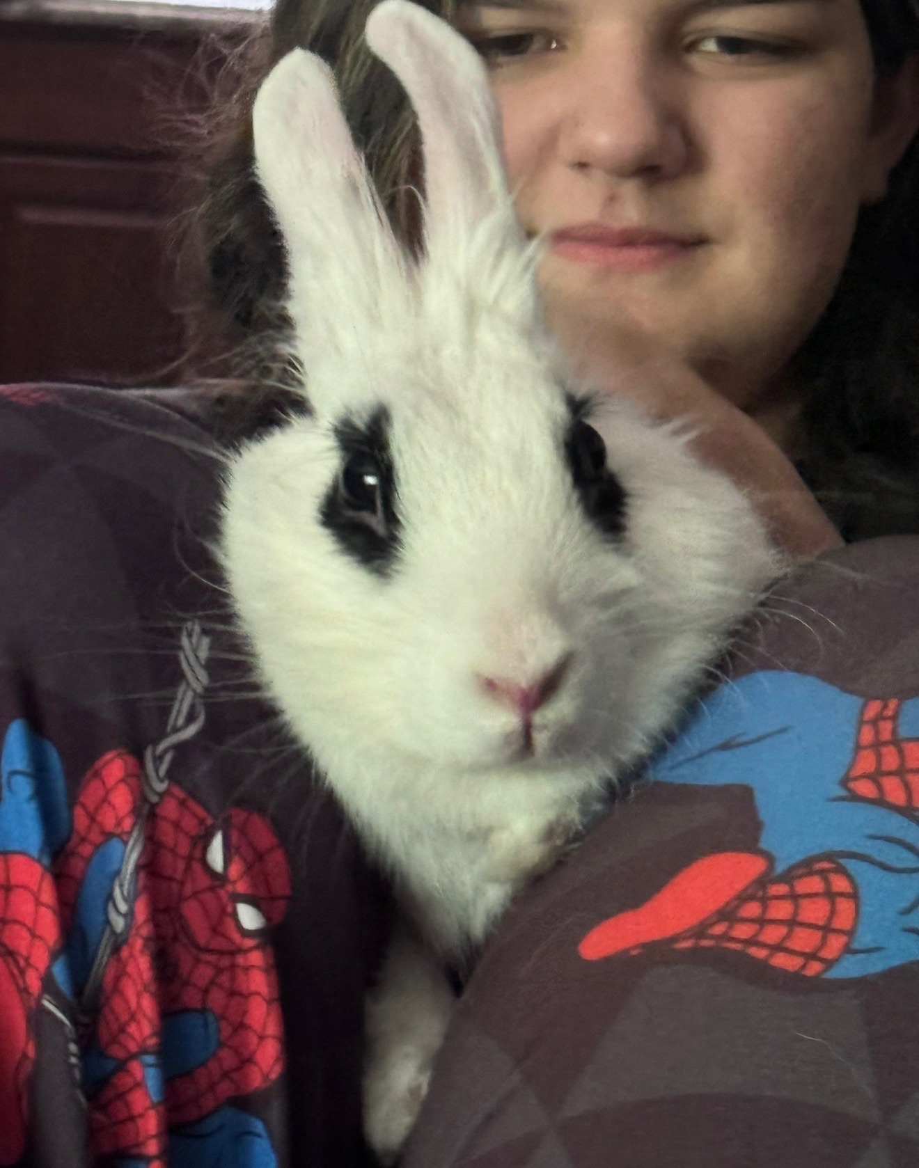 Help Us Save Waddles, My Daughter’s Best Friend campaign photo, 2 of 7