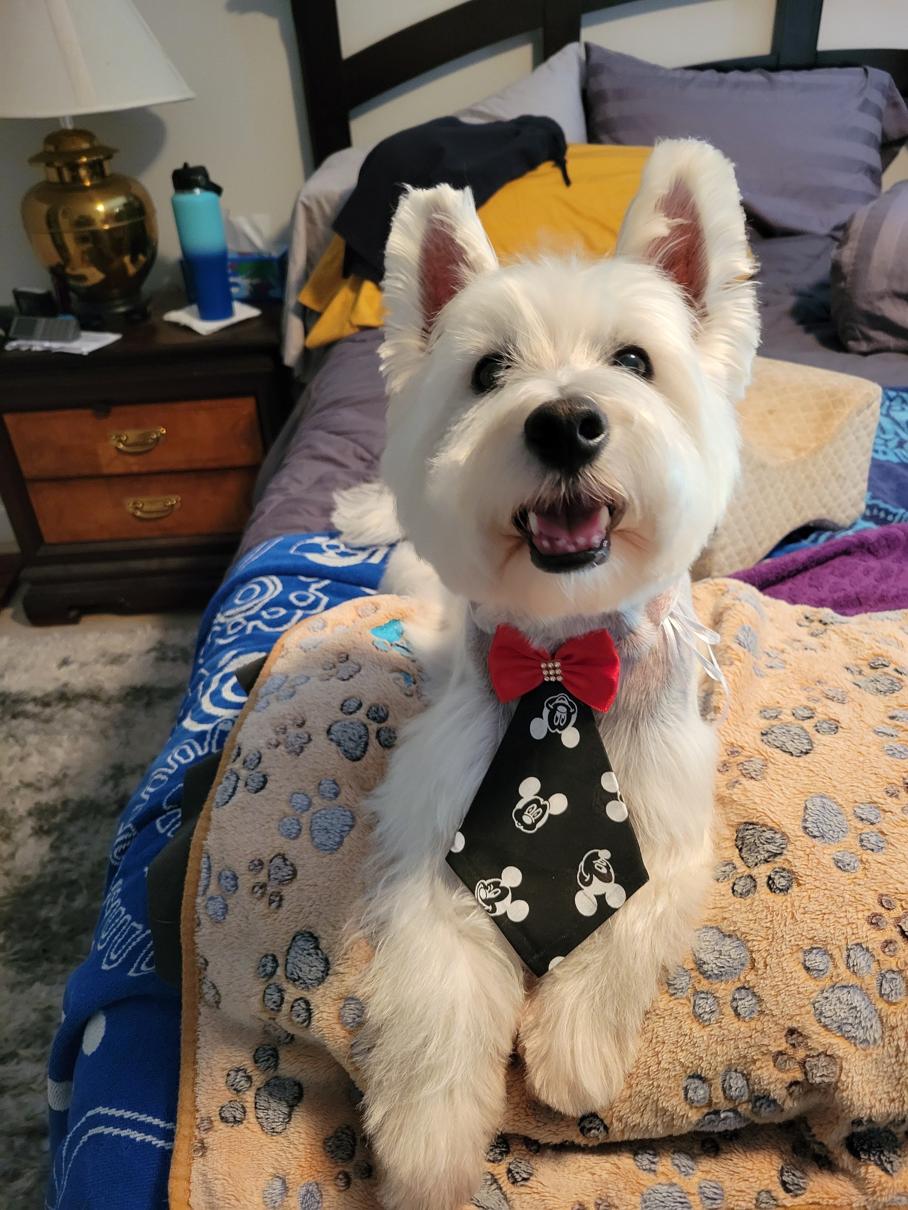JAKE NEEDS your help campaign photo, 2 of 5