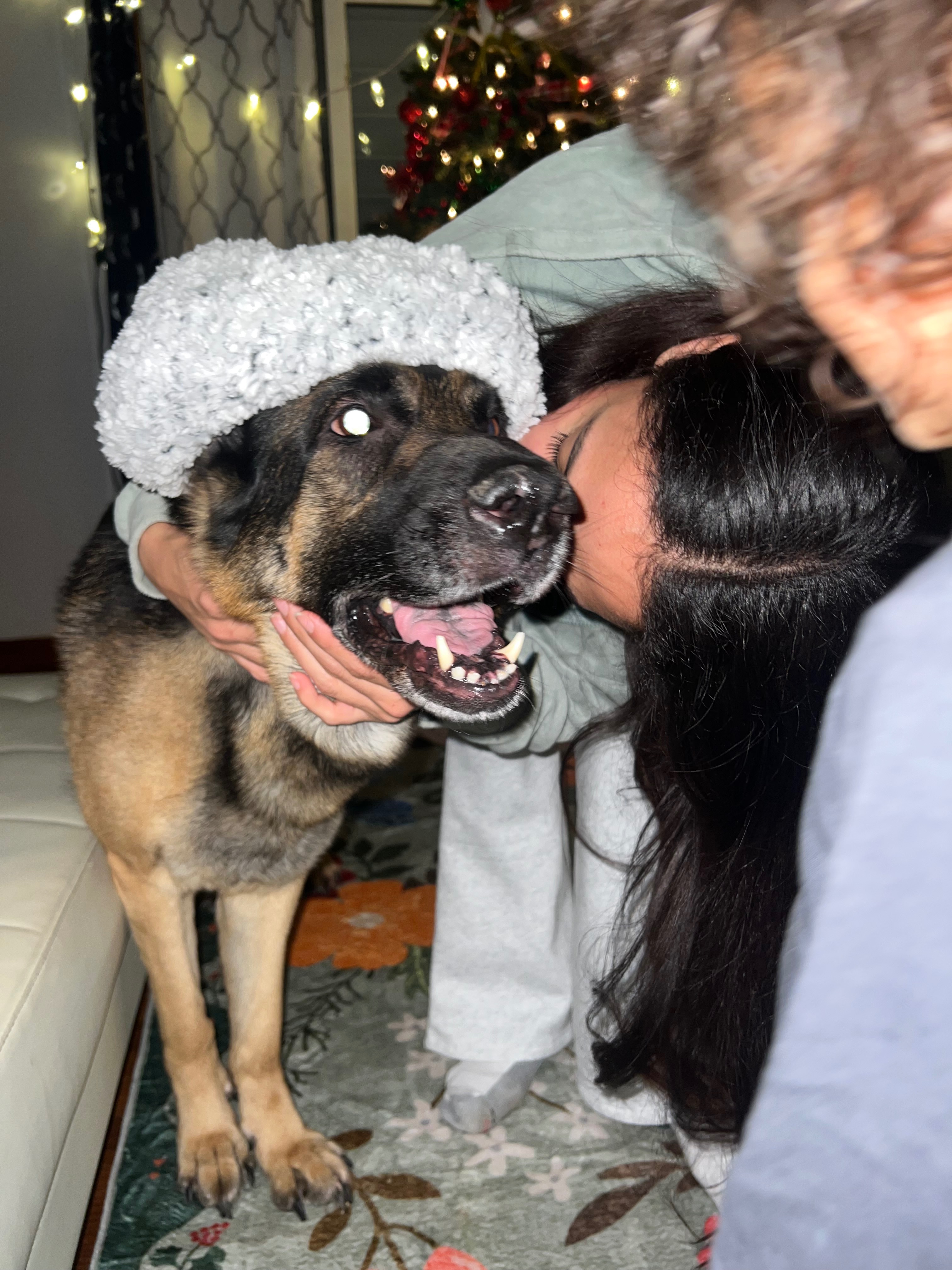 Help Rosie Get Lifesaving Vet Care campaign photo, 6 of 8