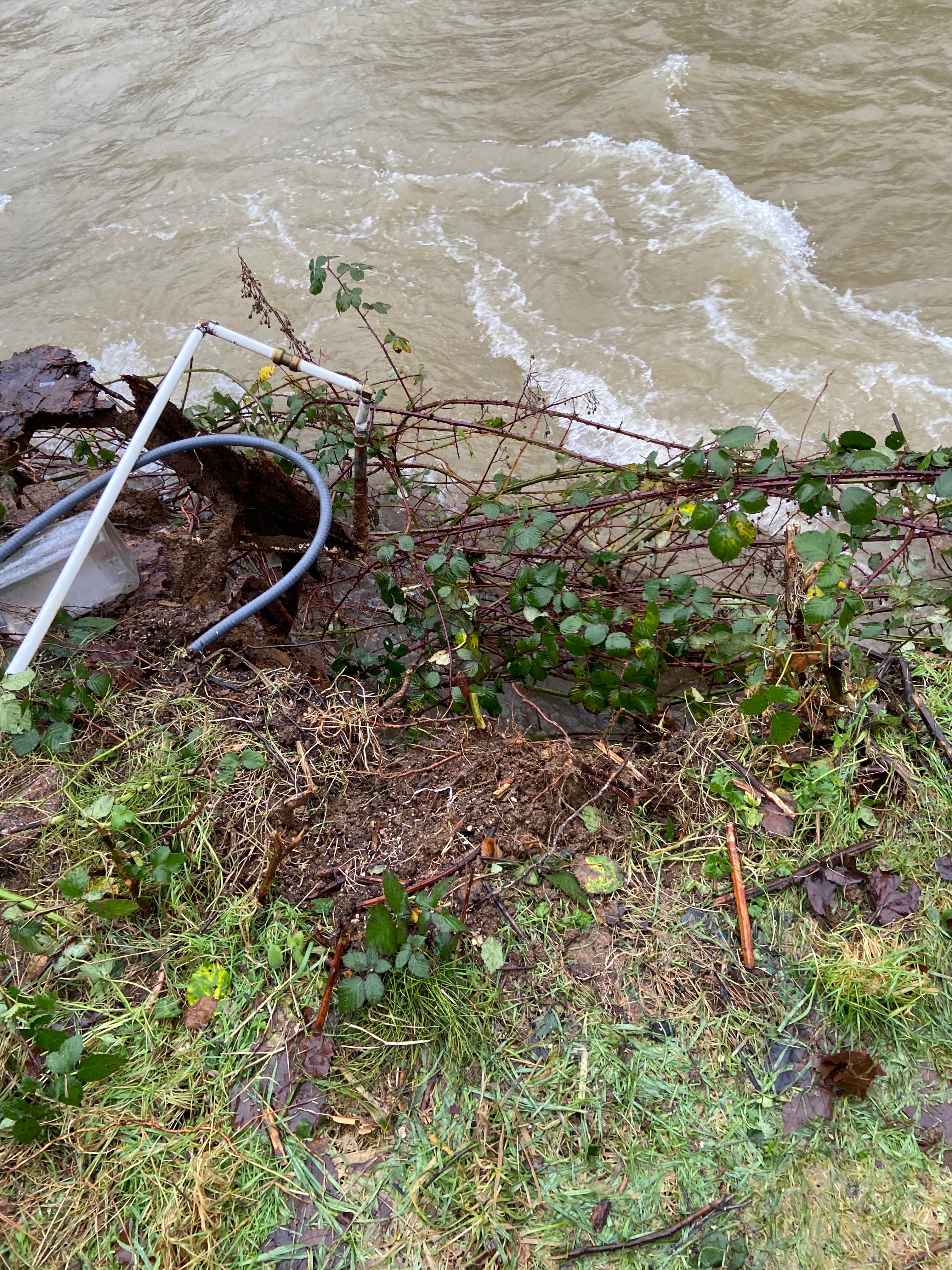 Help JoAnn Restore Water After Well Loss campaign photo, 4 of 8