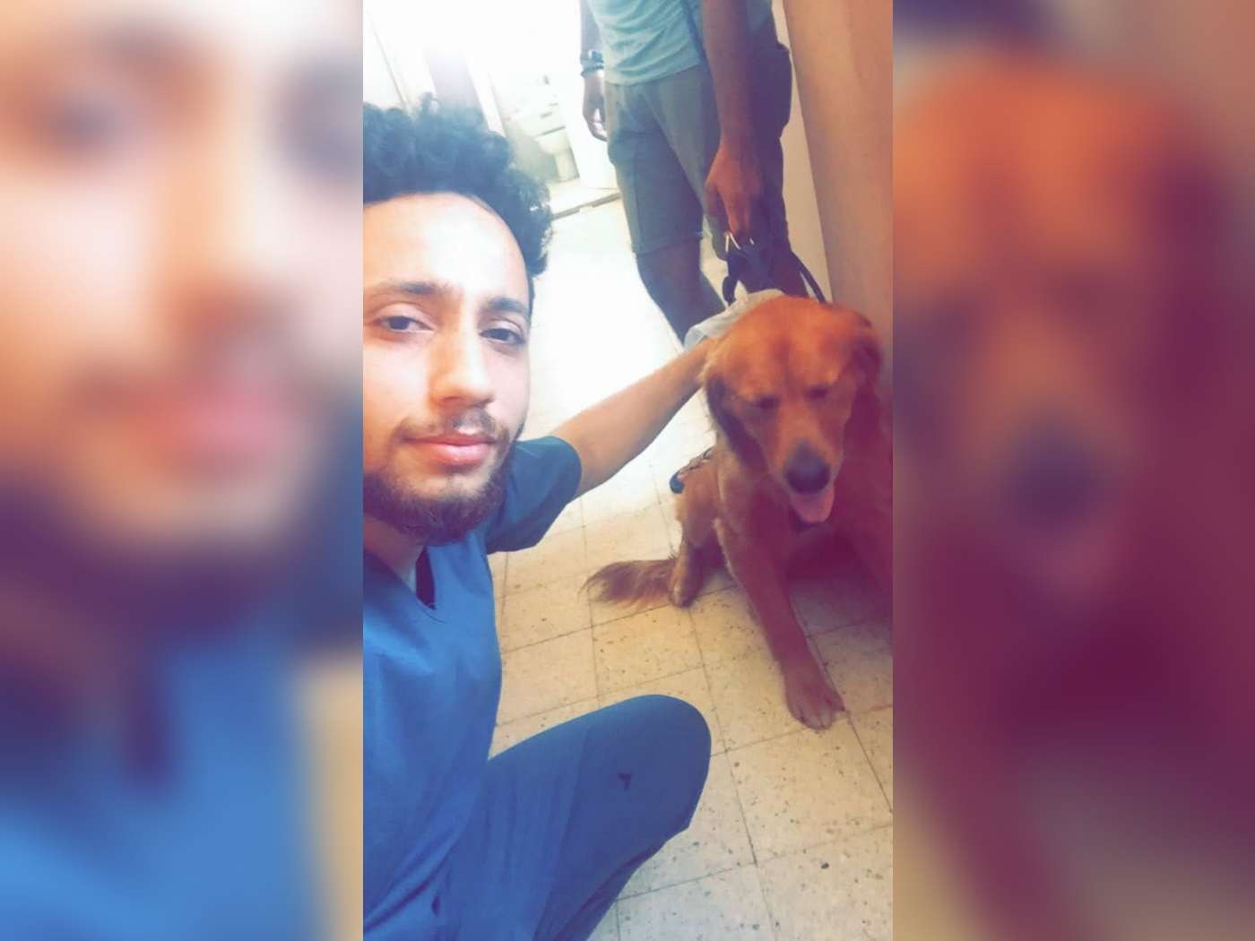 Help an Egyptian Vet Achieve ECFVG Certification campaign photo, 2 of 5