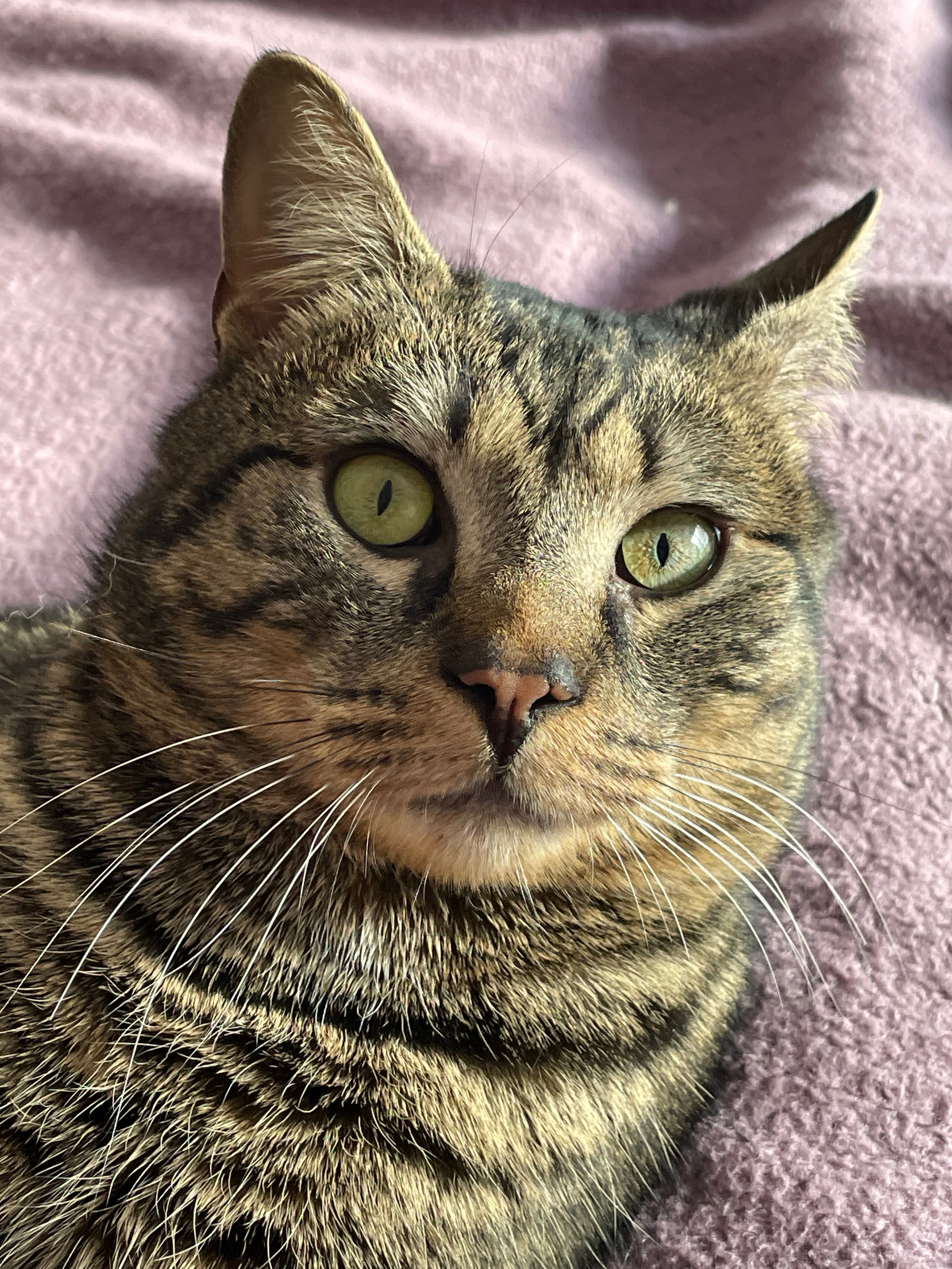 Help Tiny Tim Get the Surgery He Needs campaign photo, 5 of 7