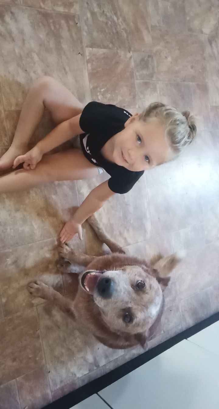 Put Our Beloved Boy Toby to Rest campaign photo, 2 of 8