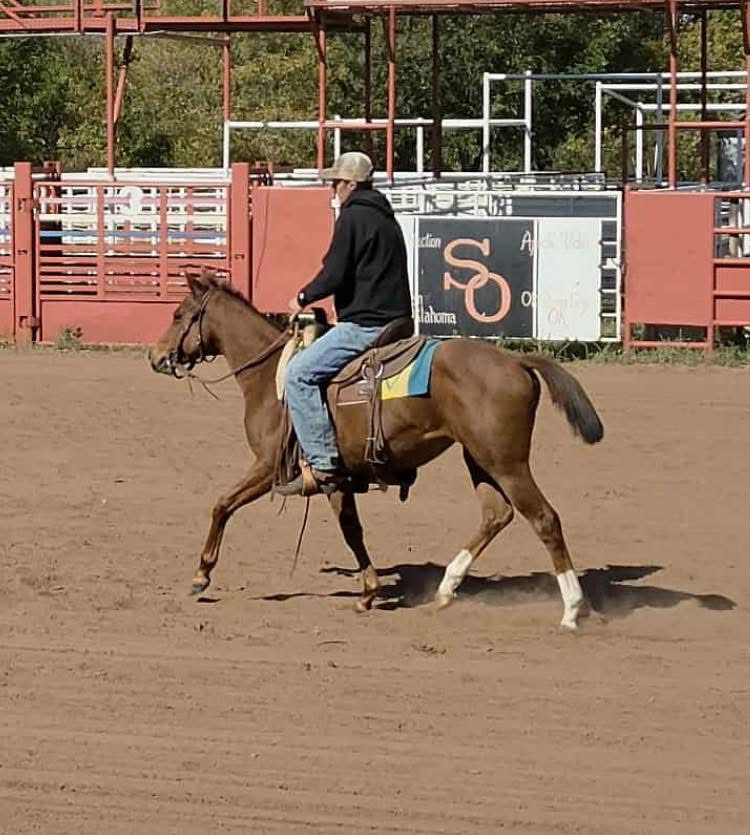 Support Connor Rose's Recovery After Horse Accident campaign photo, 2 of 8