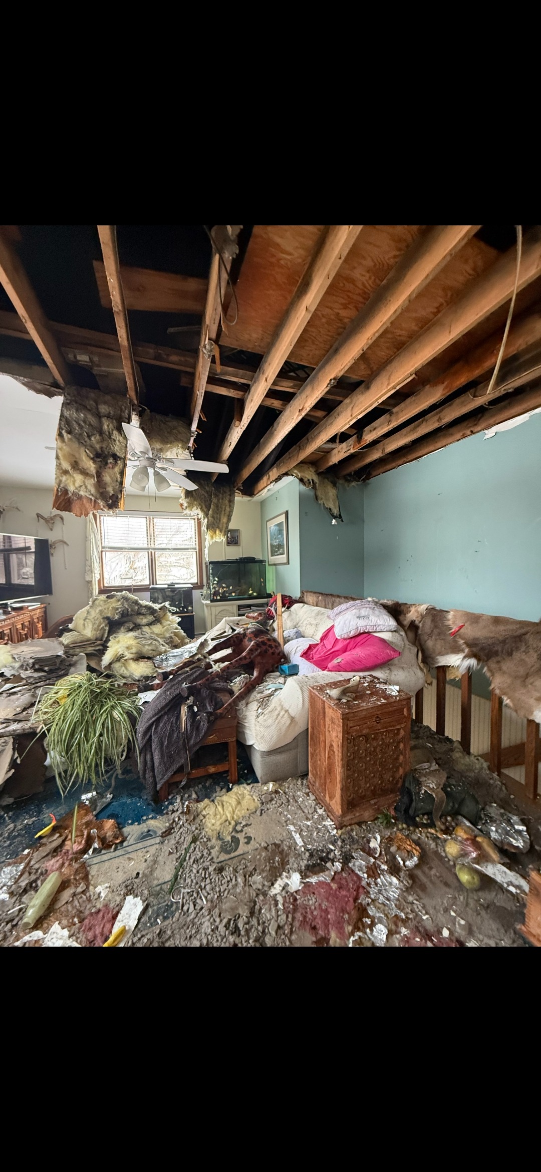 Steve & Barbara Molison House Fire Relief campaign photo, 2 of 5