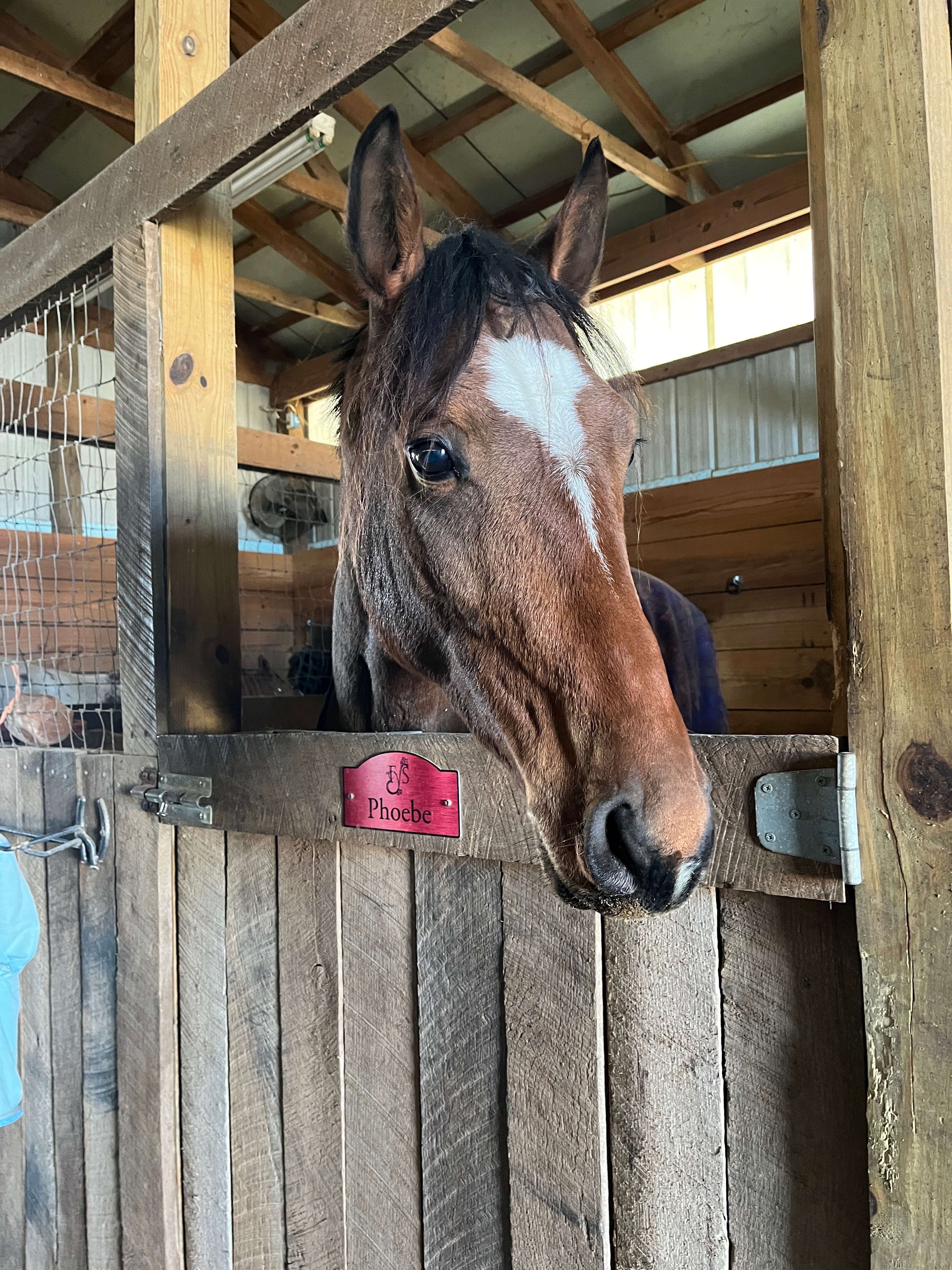 Help Lenox Recover From Colic and Pneumonia campaign photo, 4 of 6