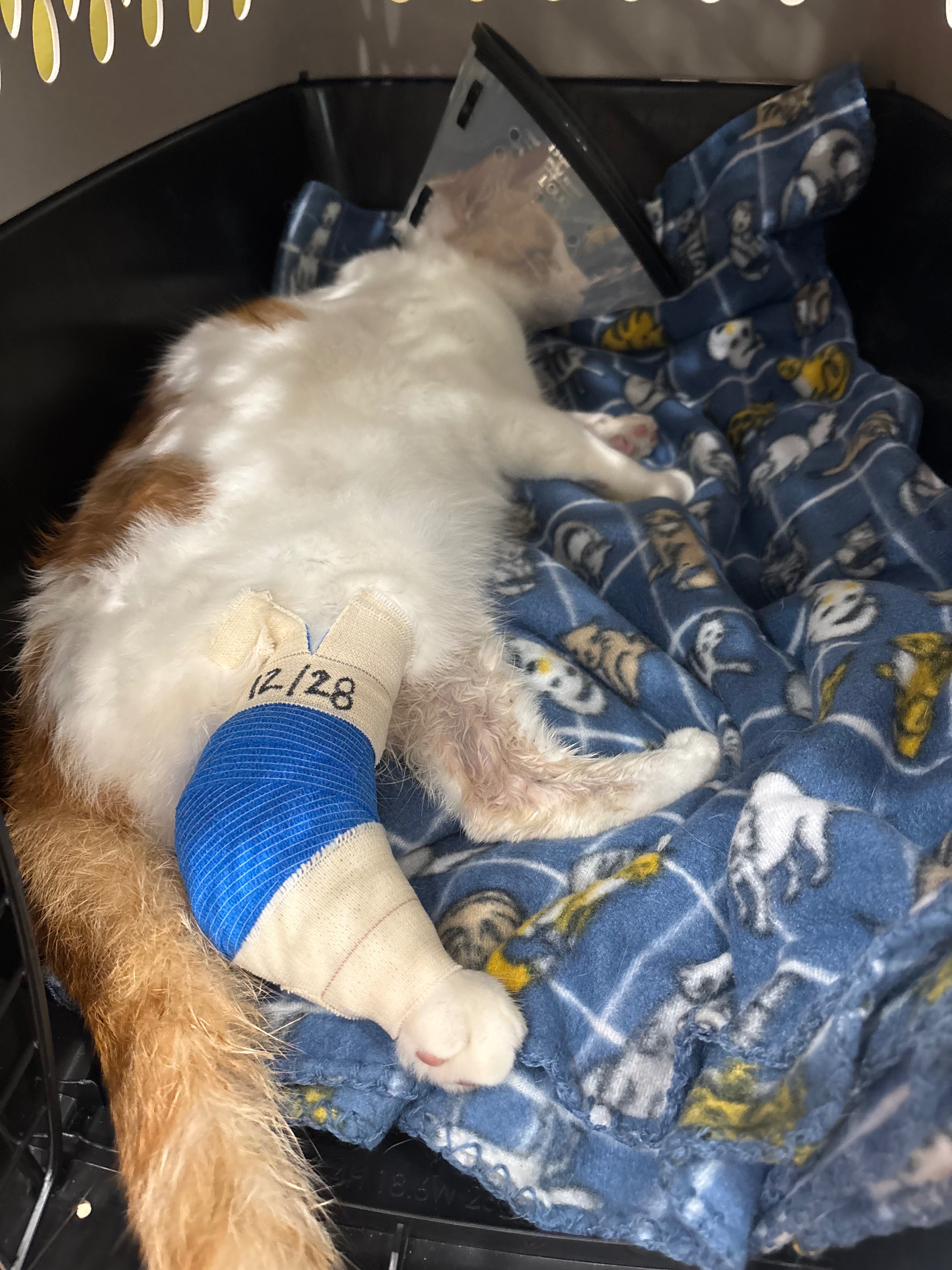 Help Yoongi Get Life-Saving Surgery campaign photo, 5 of 6