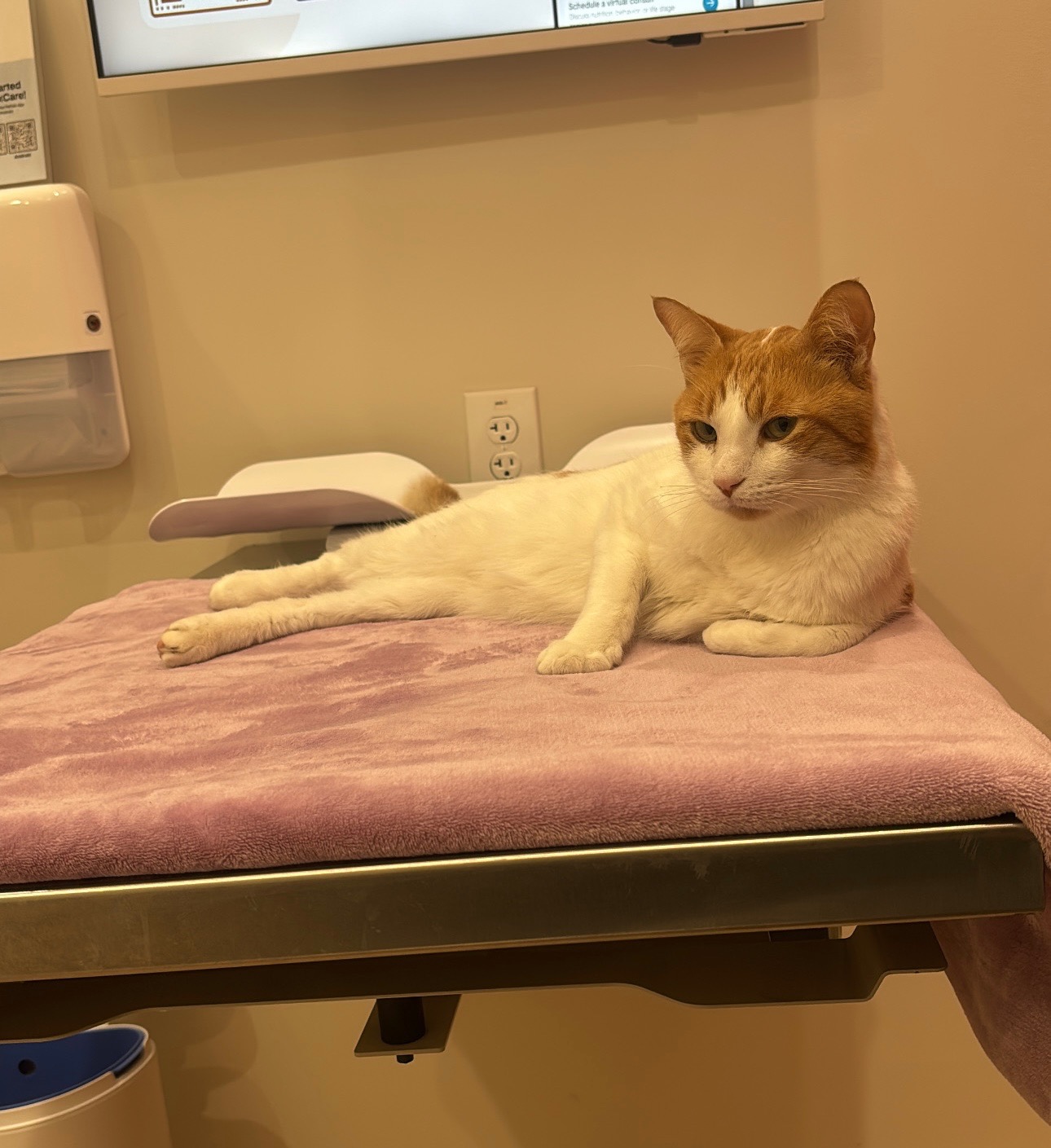 Help Yoongi Get Life-Saving Surgery campaign photo, 2 of 6