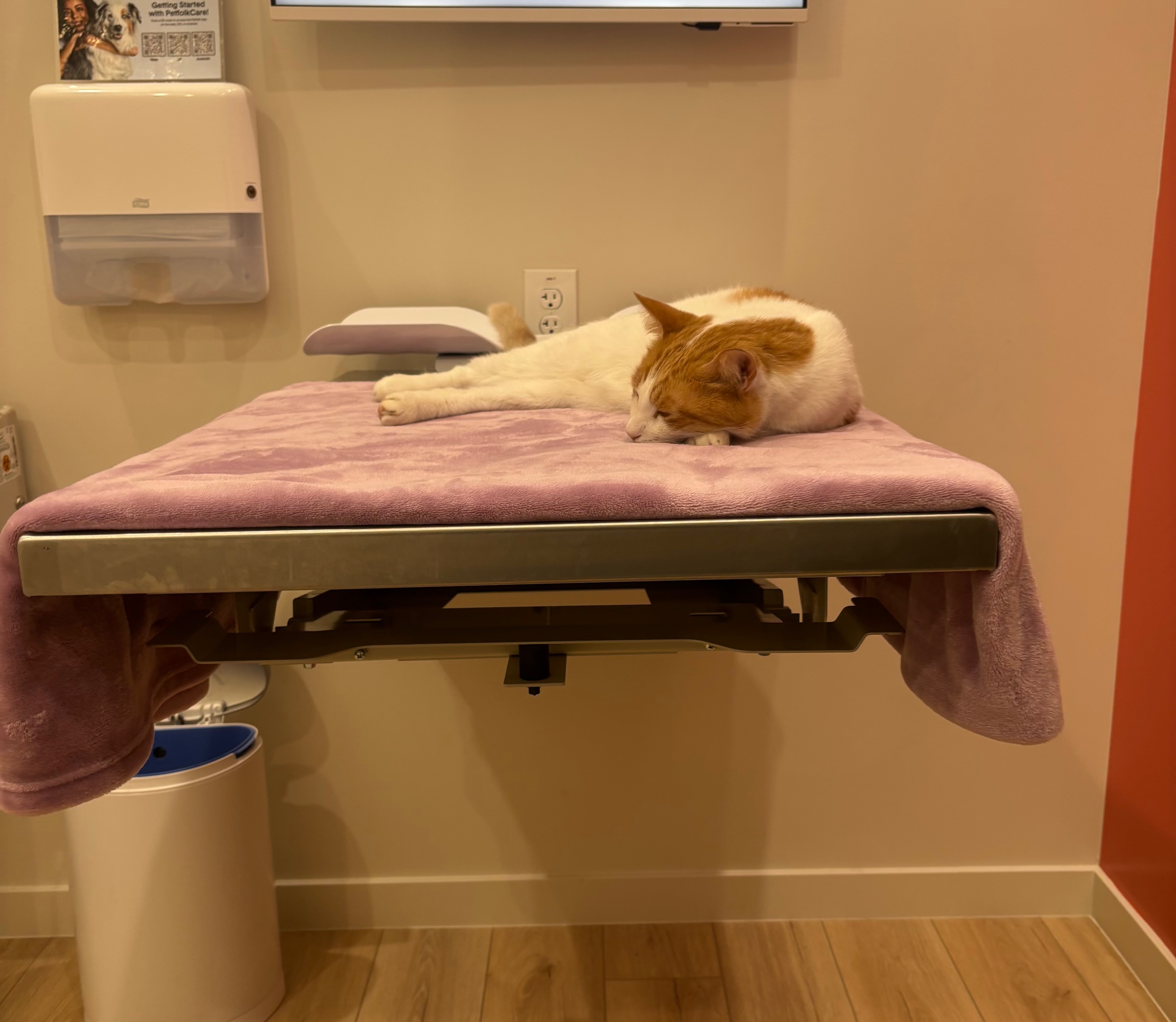 Help Yoongi Get Life-Saving Surgery campaign photo, 4 of 6