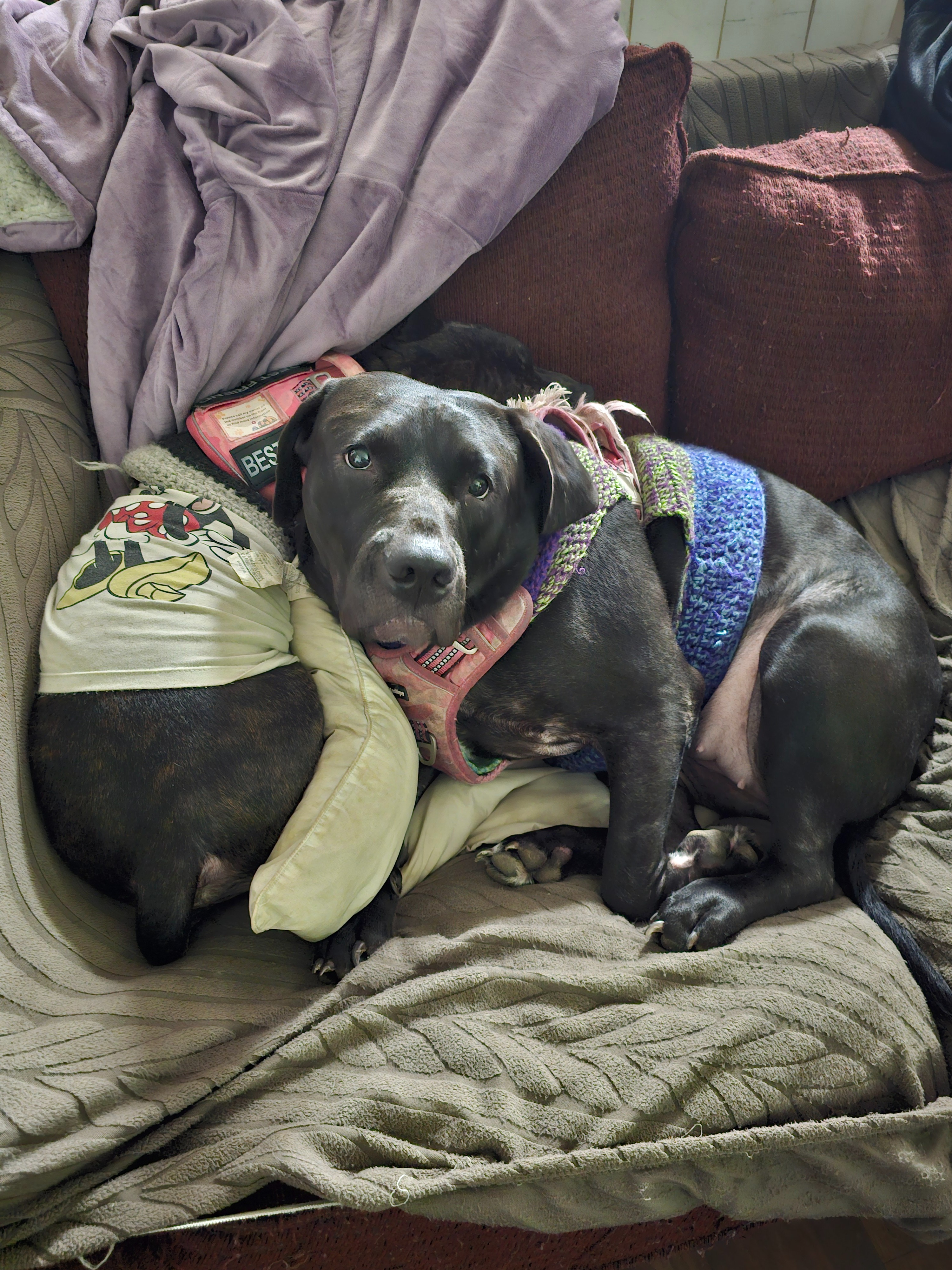 Support Penny’s Fight Against Epilepsy campaign photo, 4 of 8