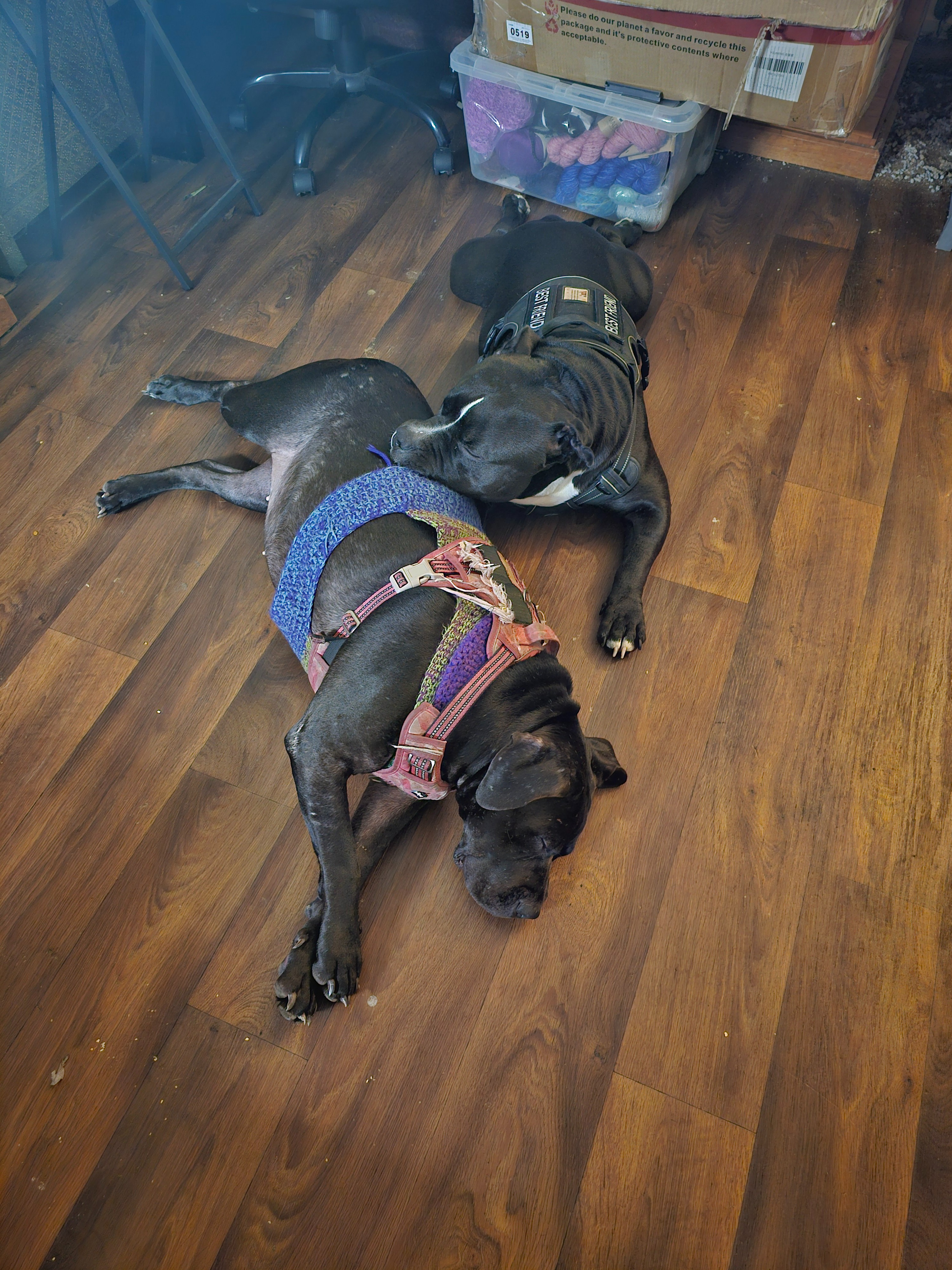 Support Penny’s Fight Against Epilepsy campaign photo, 5 of 8