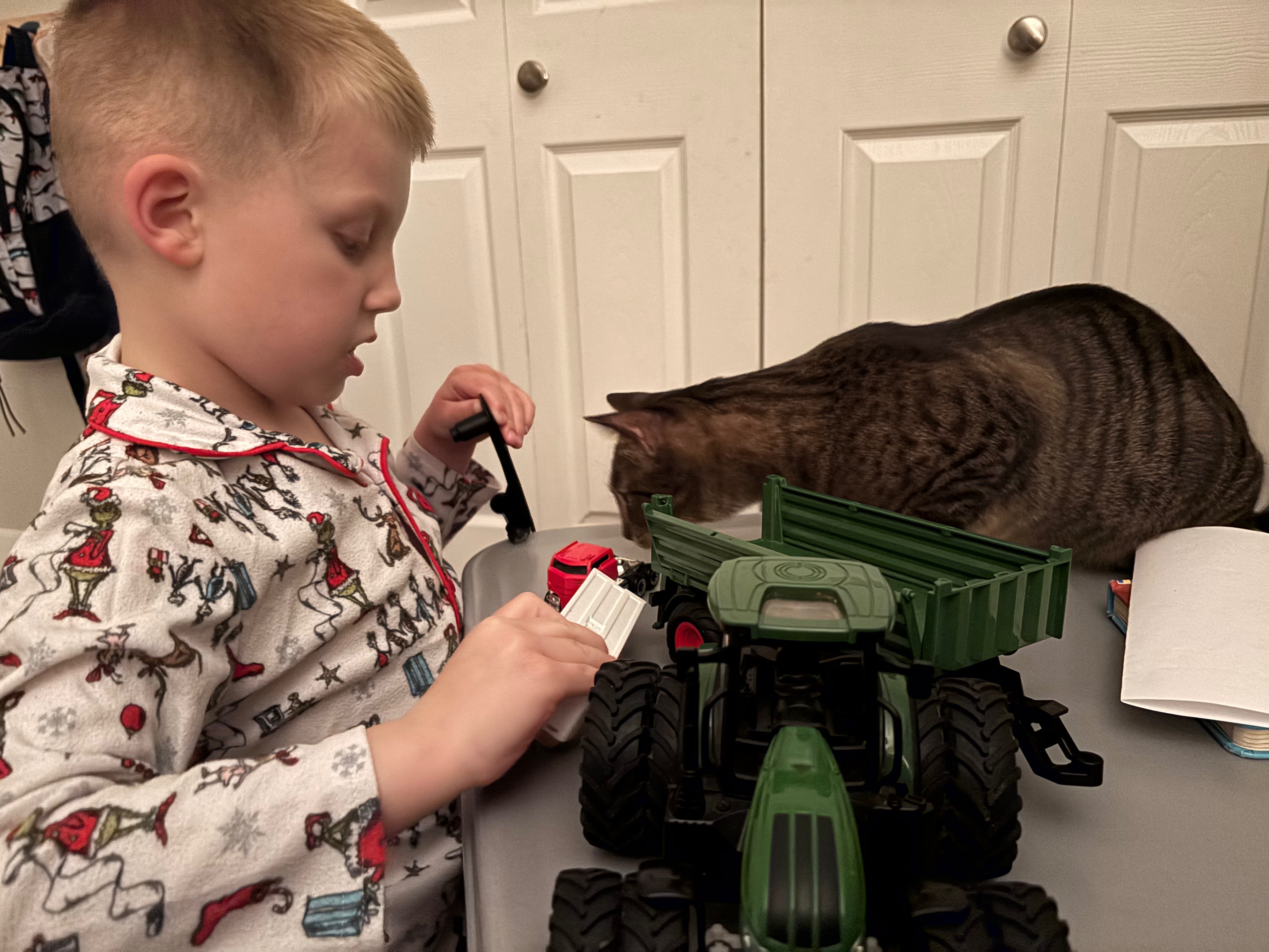 Help Ziggy Get the Urgent Dental Surgery He Needs campaign photo, 2 of 7