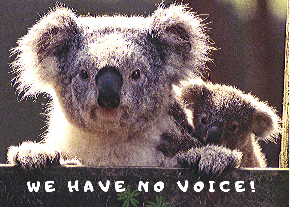 Help Us Stop the Nucrush Oxenford Quarry Expansion campaign photo, 2 of 8