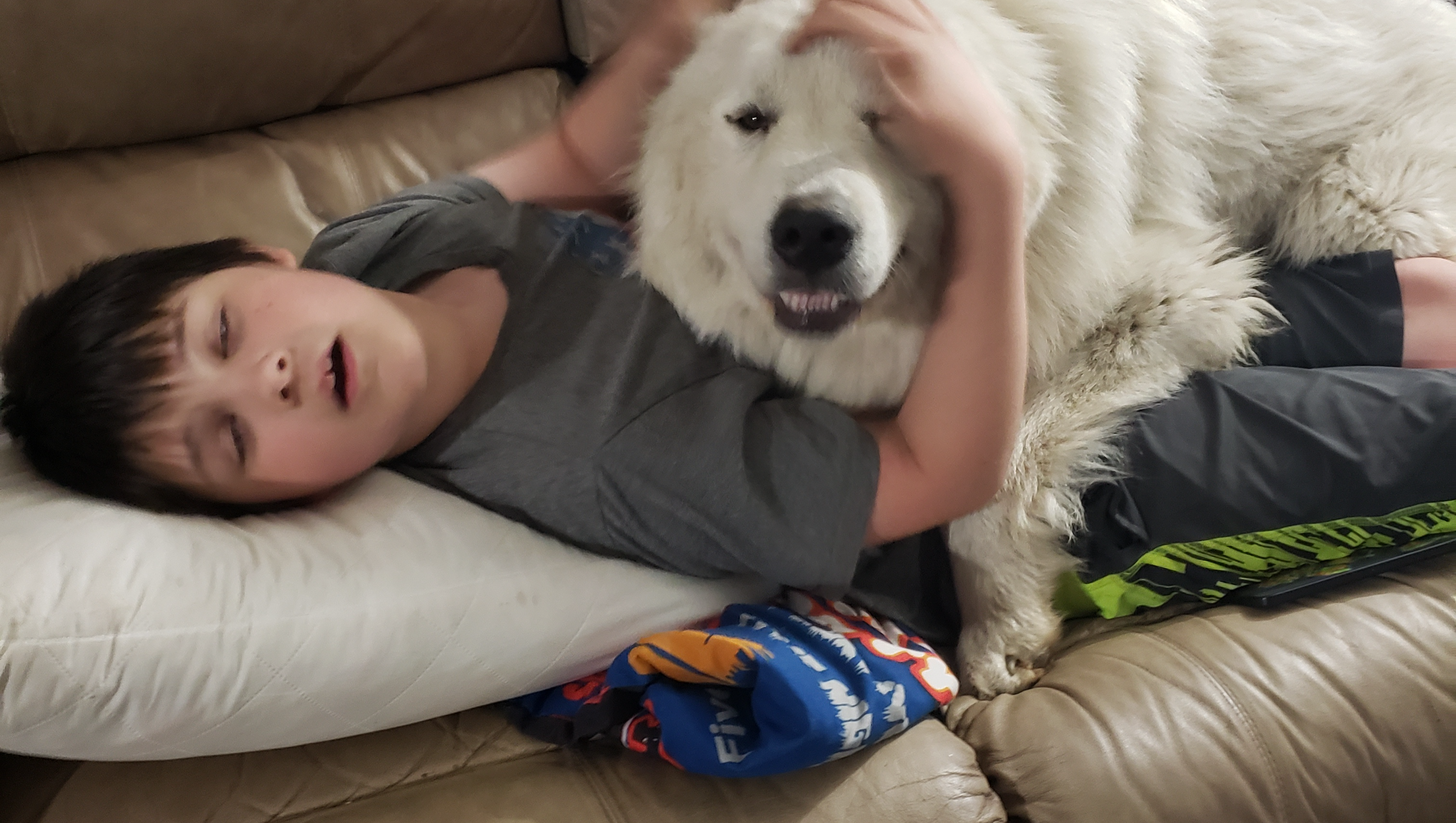 Support Stacy's Family in Their Time of Need photo