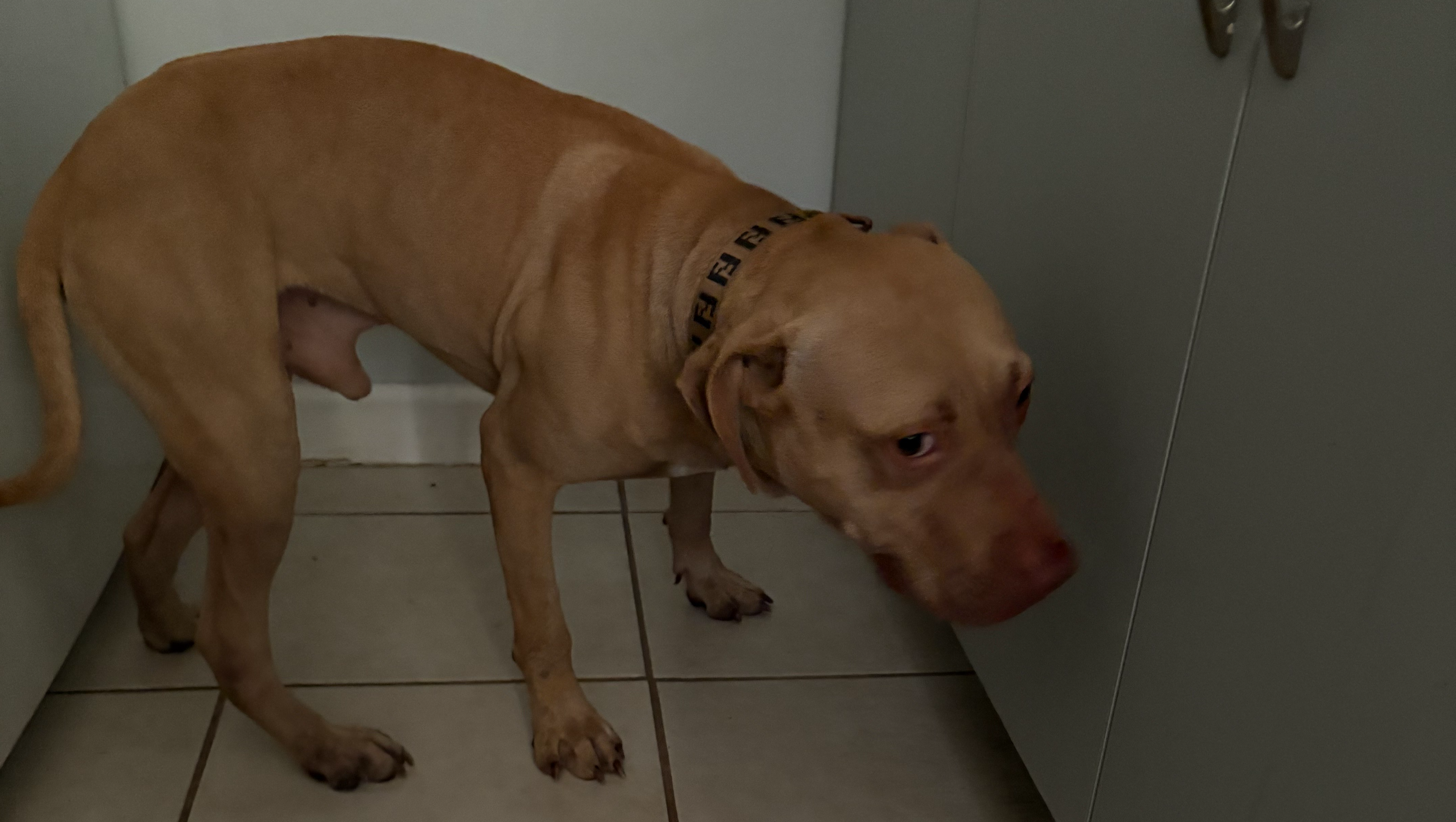 Thrown From a Car and Left for Dead — Help Me Save Him