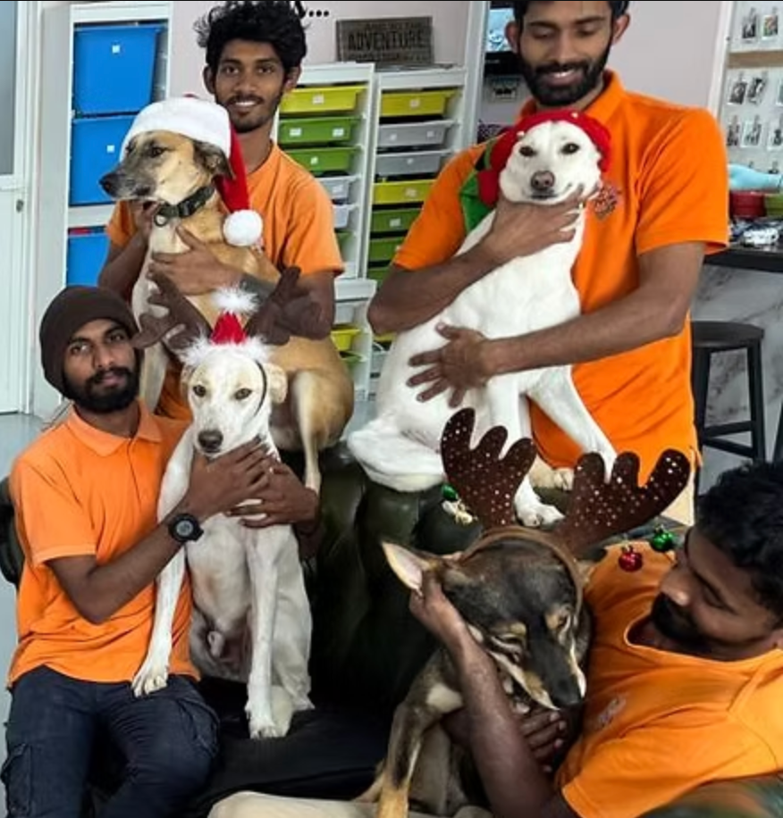 Starting the New Year by Giving Back – Stray Dogs Center UAE campaign photo, 6 of 8
