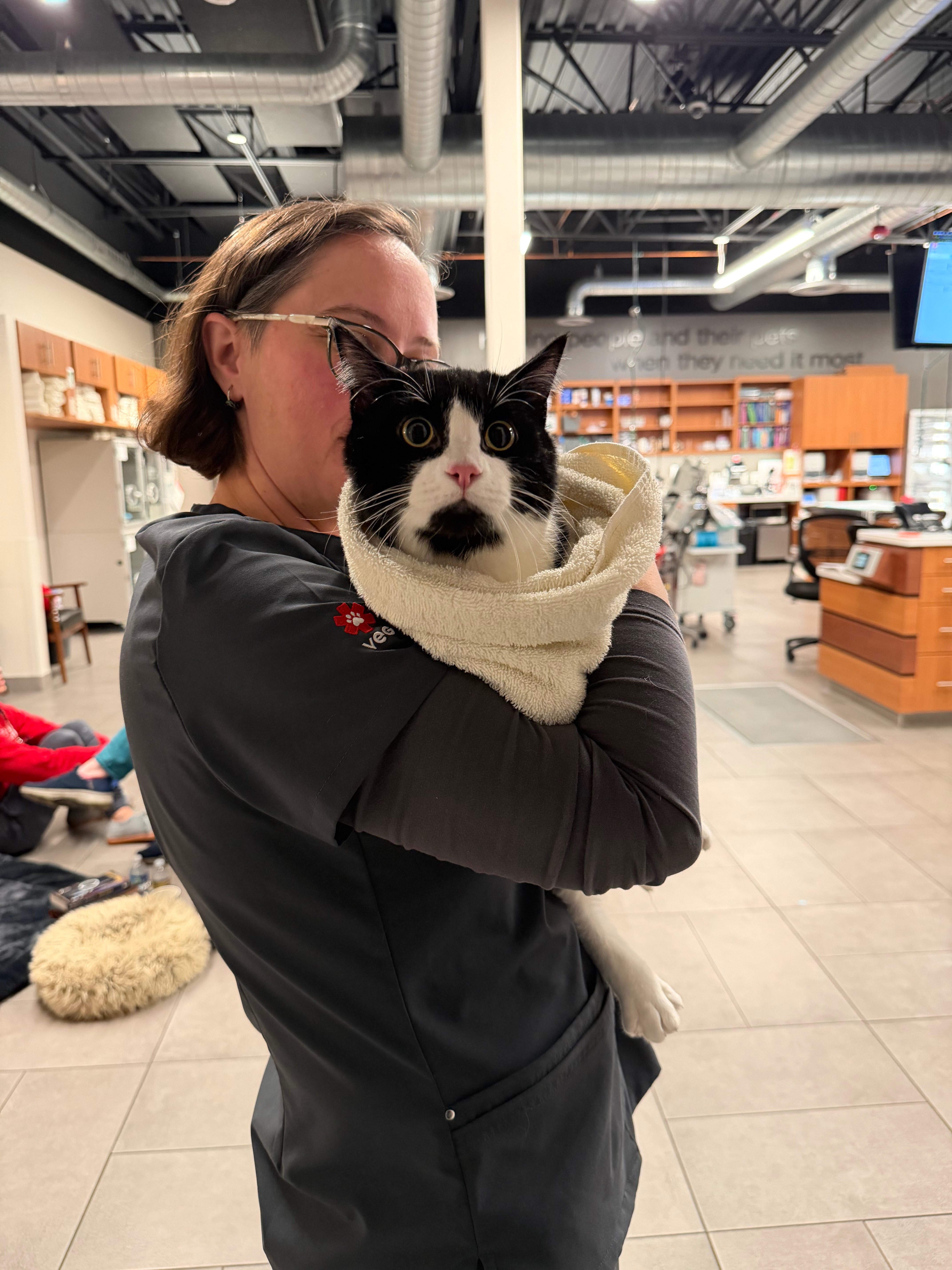 Aid for Lunchbox's Bladder Surgery Costs campaign photo, 4 of 5
