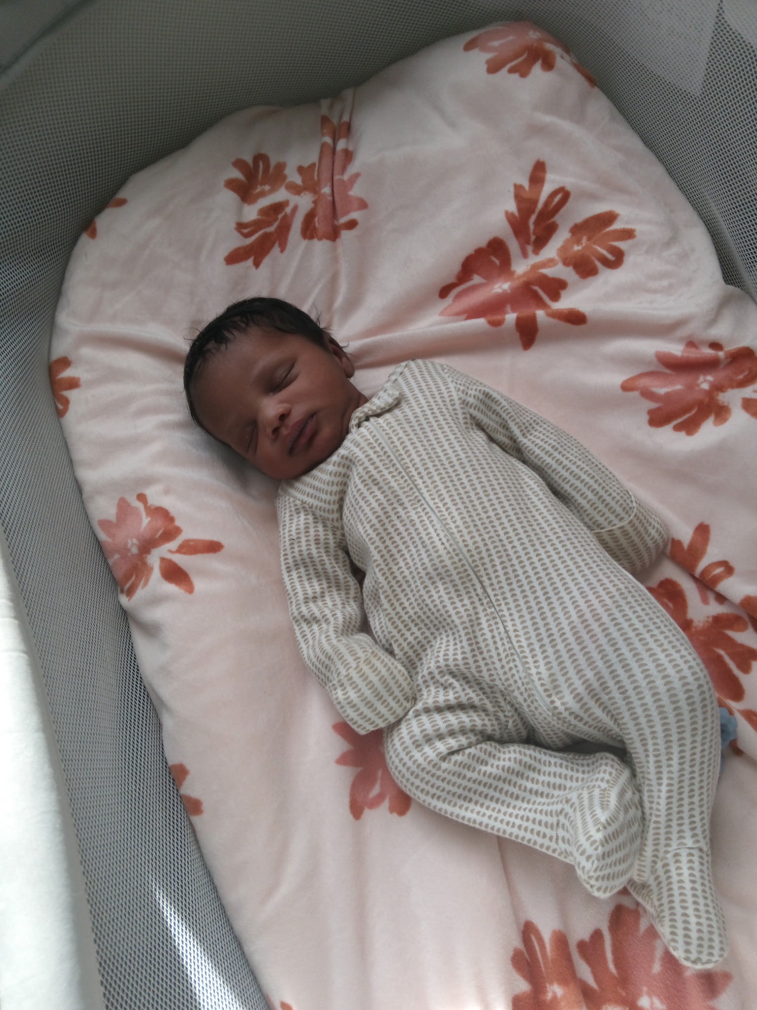 Help Tamisha and Lee Through This Heartbreaking Time campaign photo, 2 of 4