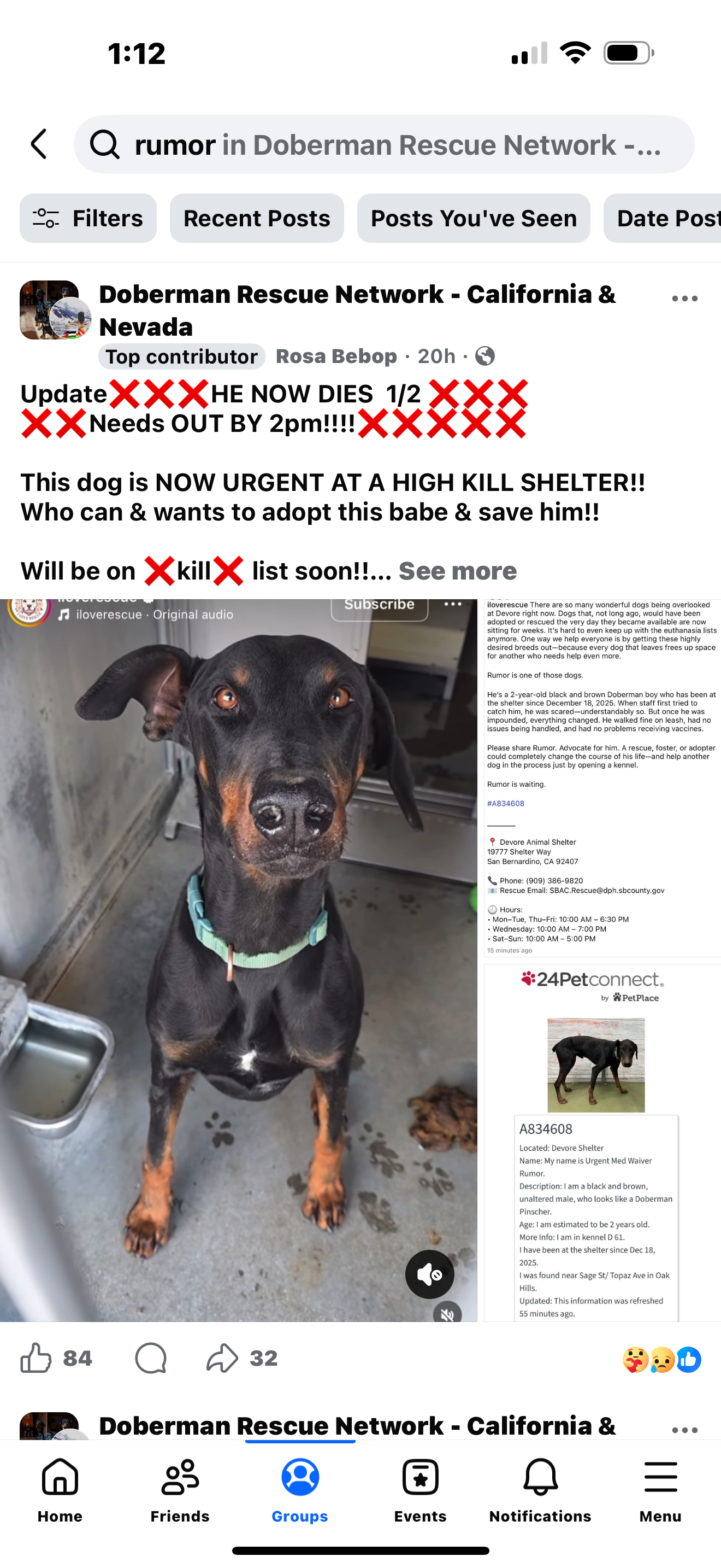 Fund Transport and Care for Dobermans in Need campaign photo, 5 of 7