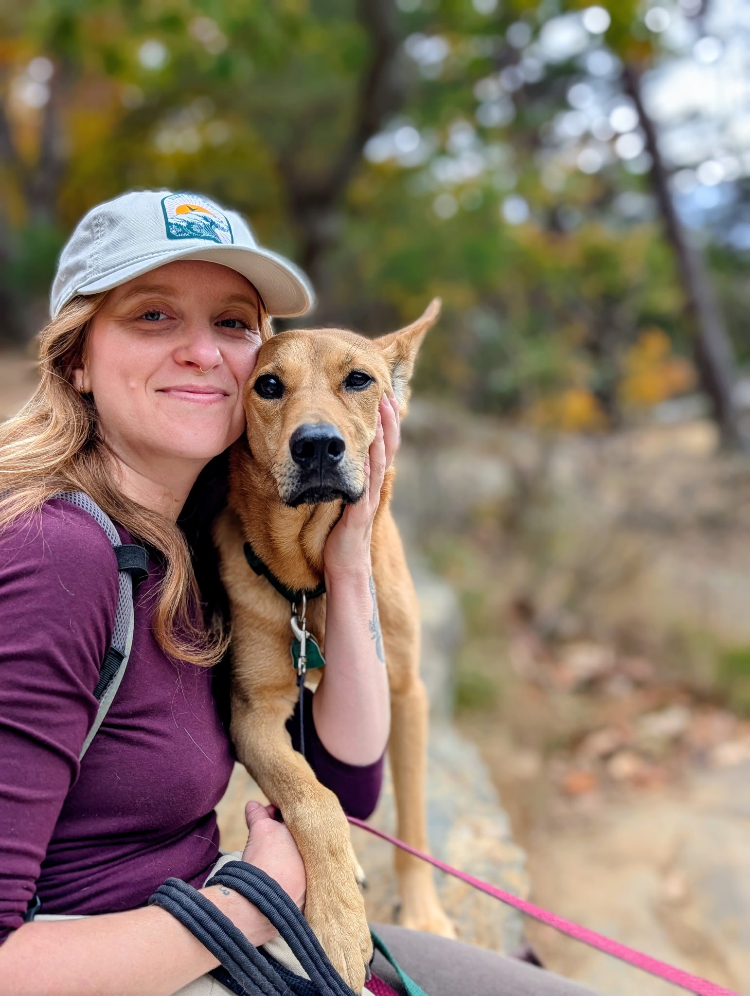 Help with Mars’s Emergency Vet & End-of-Life Care campaign photo, 2 of 5