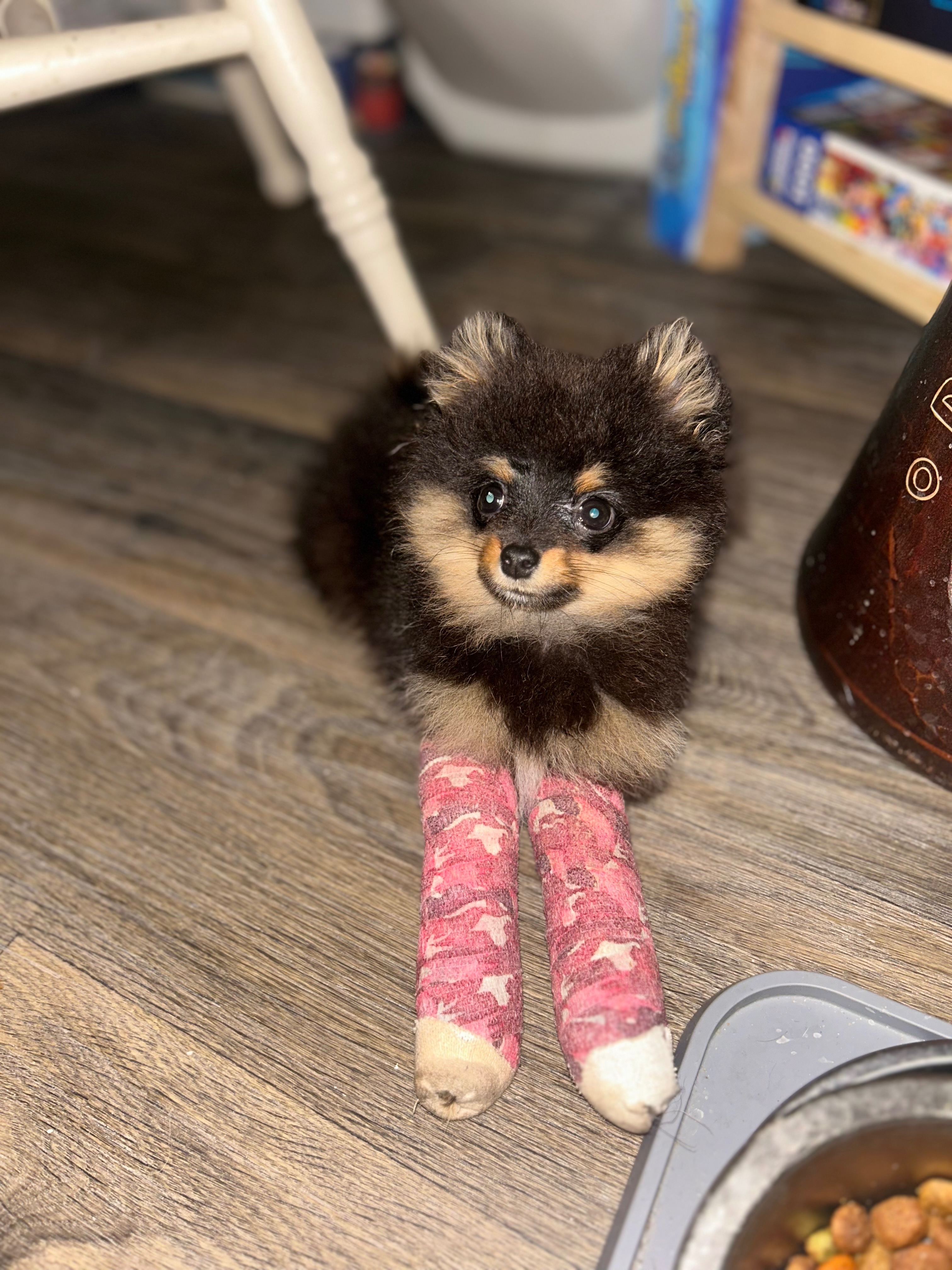 Broken Billie Legs campaign photo, 4 of 8