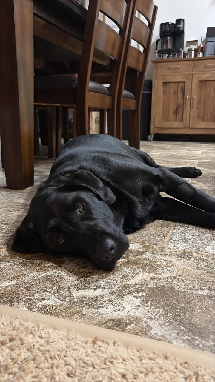 Help Bailey Fight with Your Support campaign photo, 4 of 5