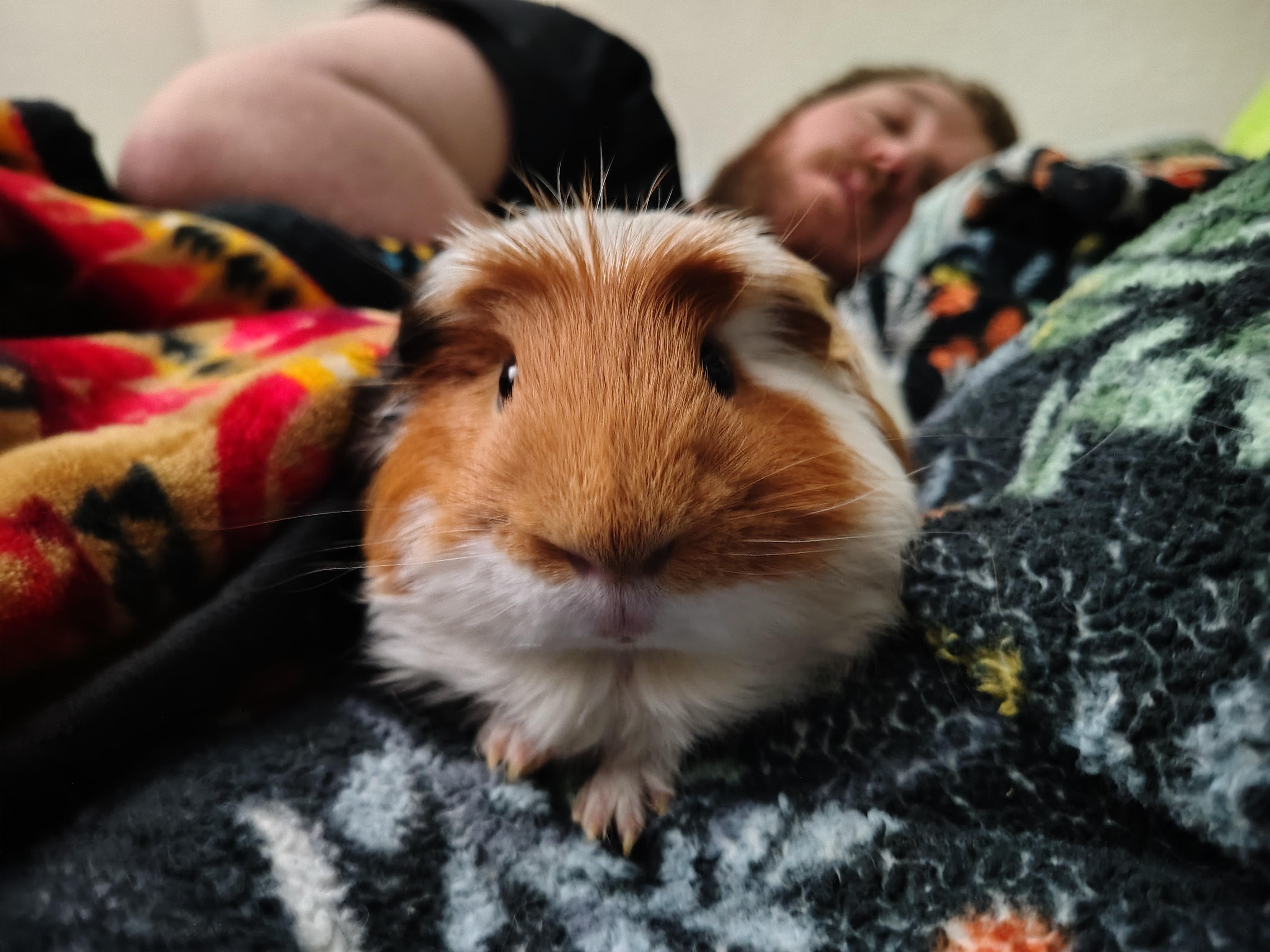 Help us cremate our lil Tito. campaign photo, 7 of 8