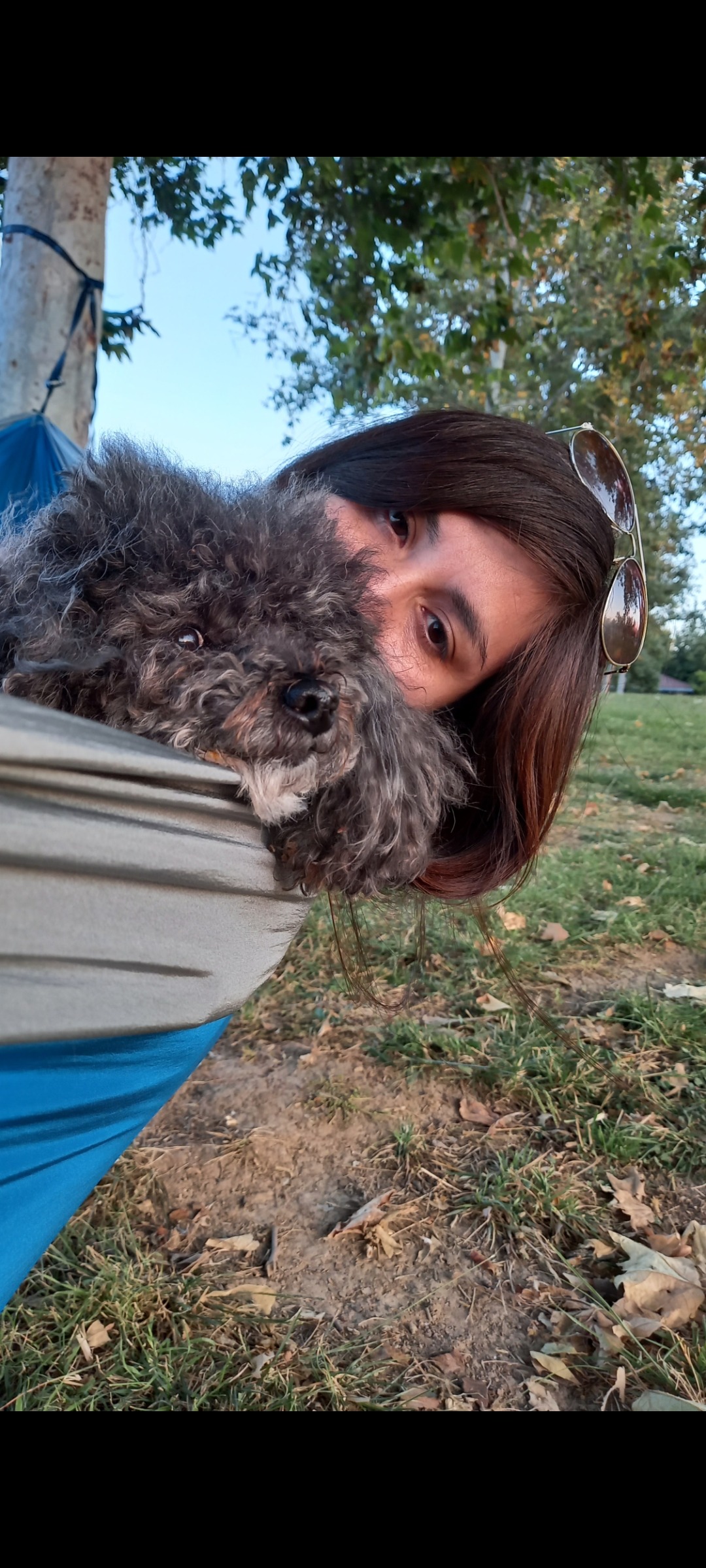 Help Mimi Survive Pyometra Surgery campaign photo, 6 of 8