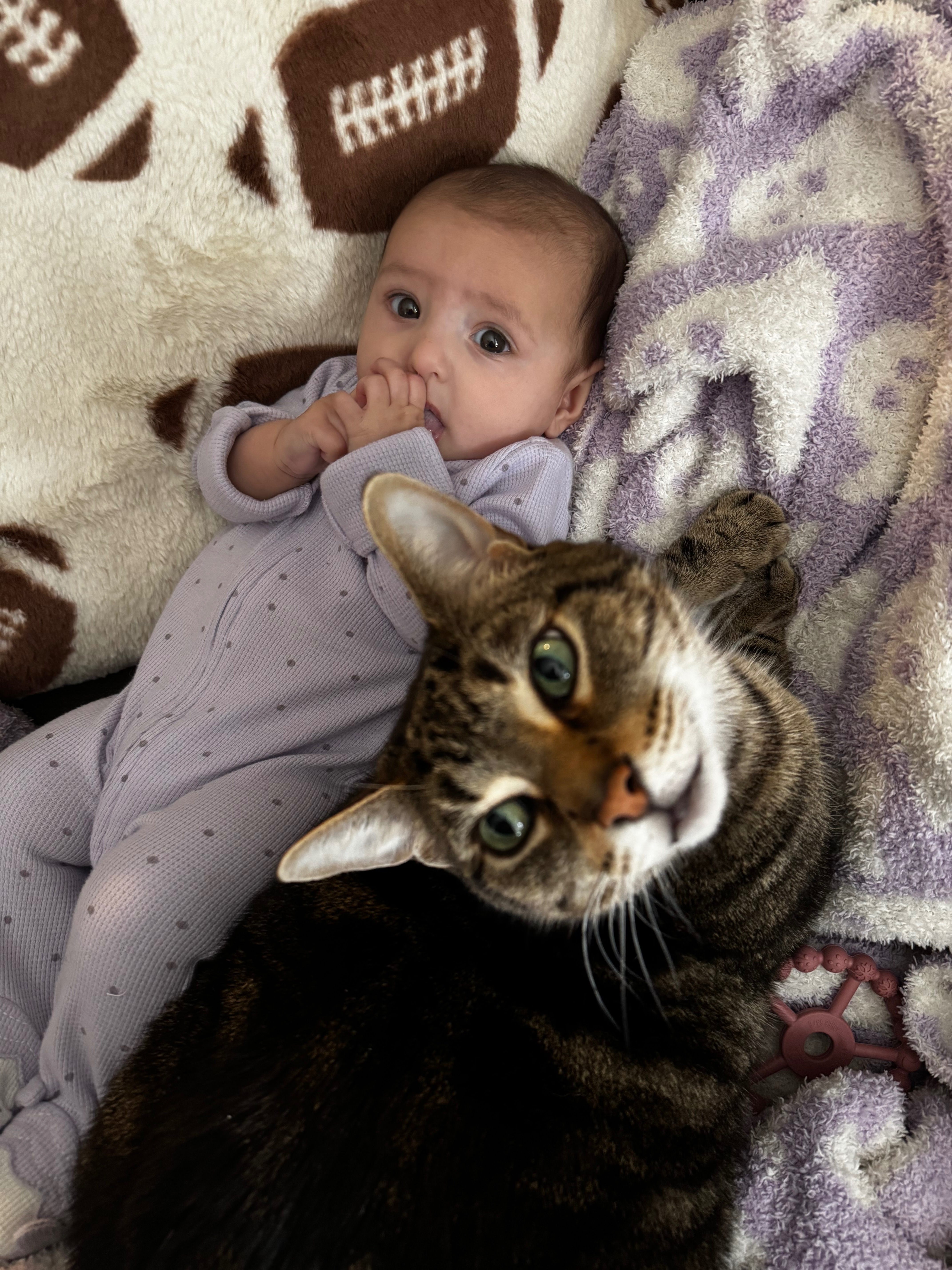 Help Save Loki - Emergency Surgery Needed campaign photo, 7 of 8