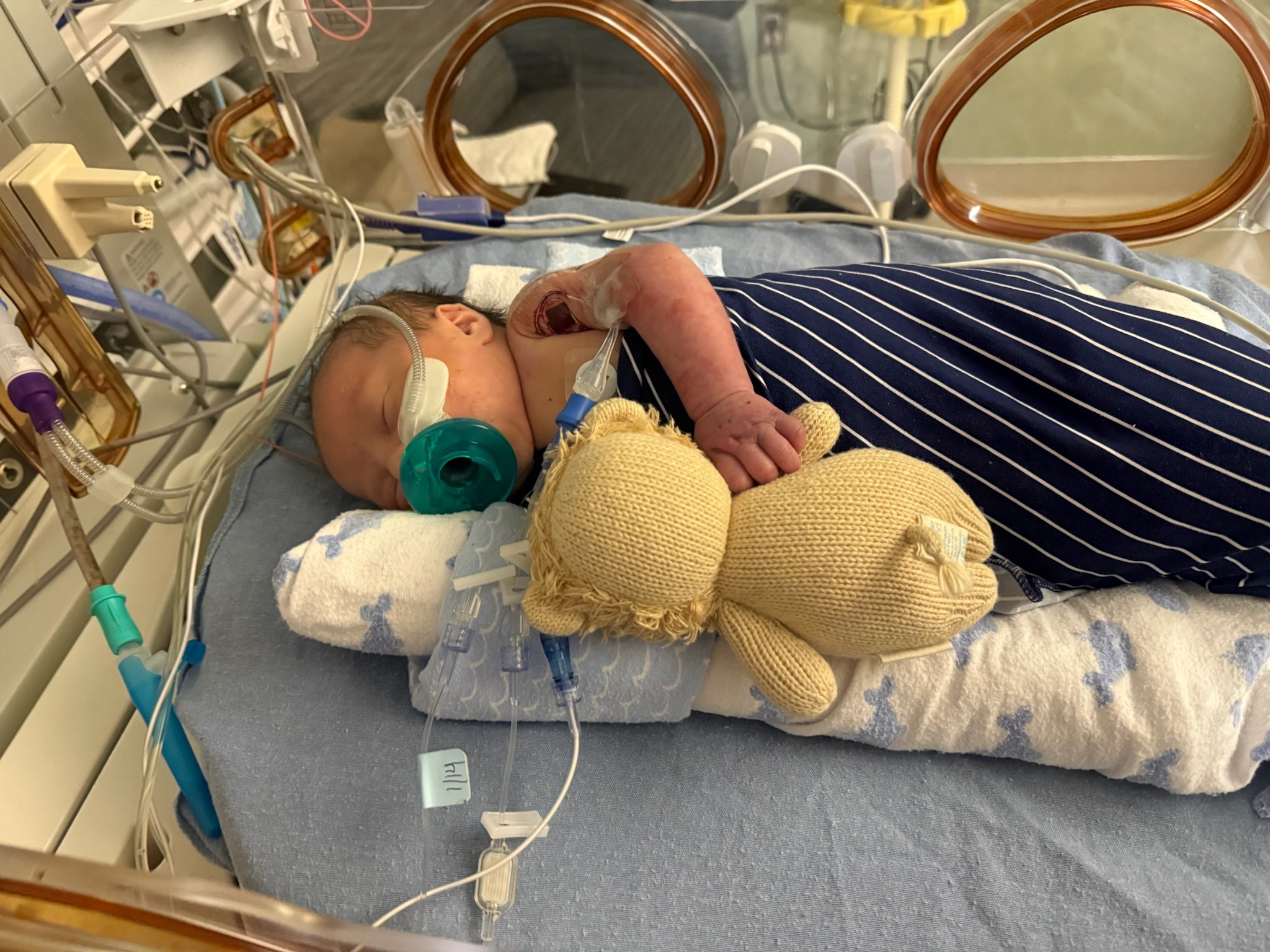 Help Shane & Hannah Welcome Baby Dawson Home campaign photo, 5 of 8