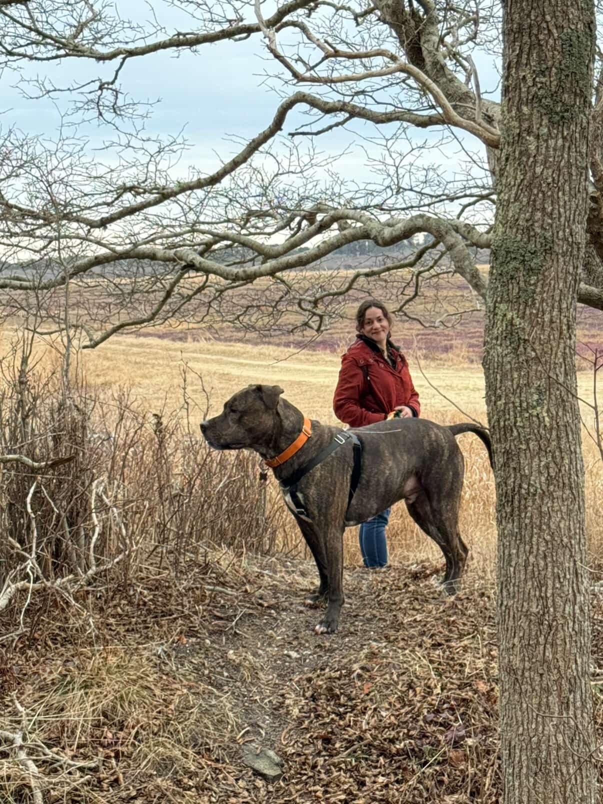 Help Ally With Odin’s ACL Surgery campaign photo, 2 of 5
