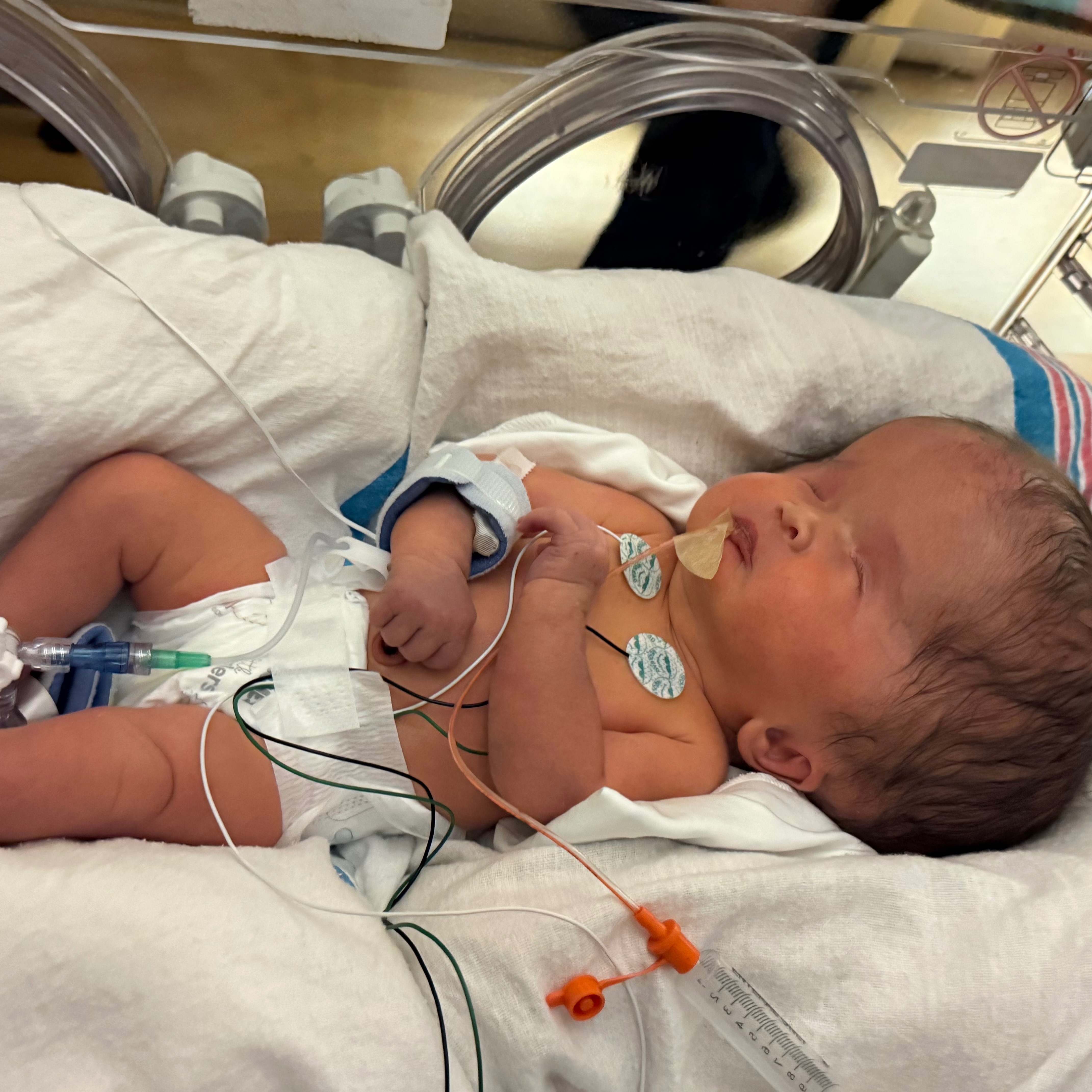 Davanee “DJ” Kroslack: Our Christmas Miracle in the NICU campaign photo, 5 of 8